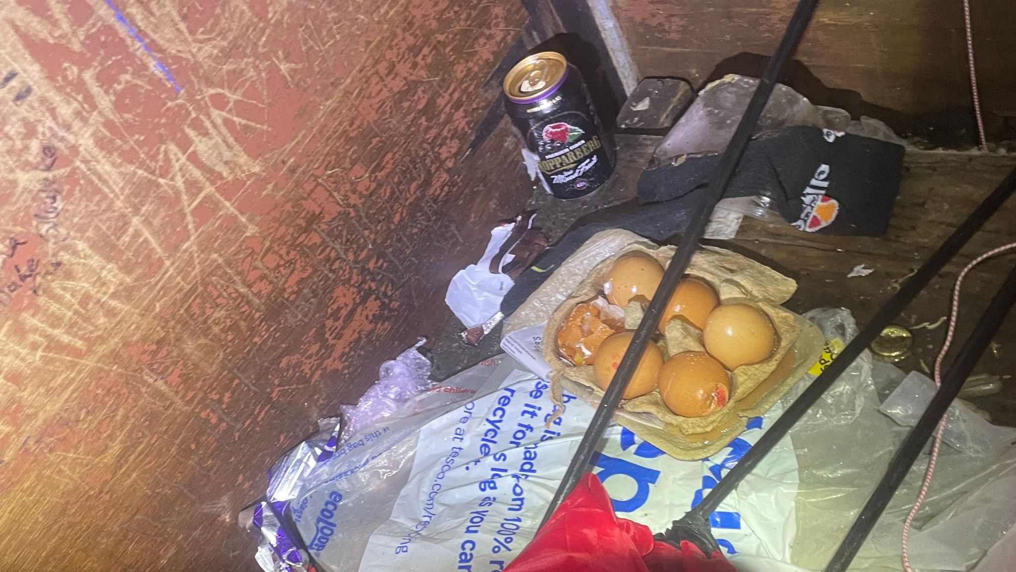 Eggs and food waste in a shelter