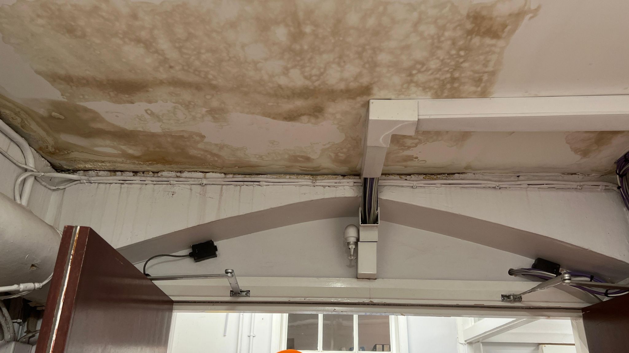 Mould visible on the ceiling of the ground floor of St Peter's Hospital, Maldon