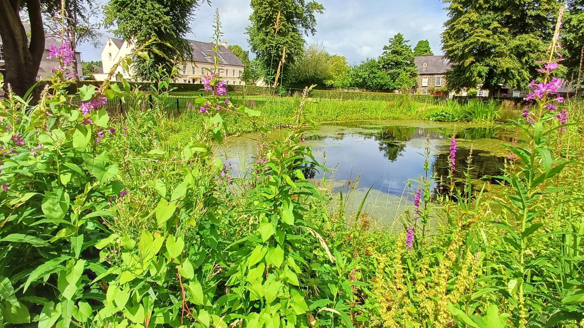 The centre of the square in the village. there's a pond and flowers