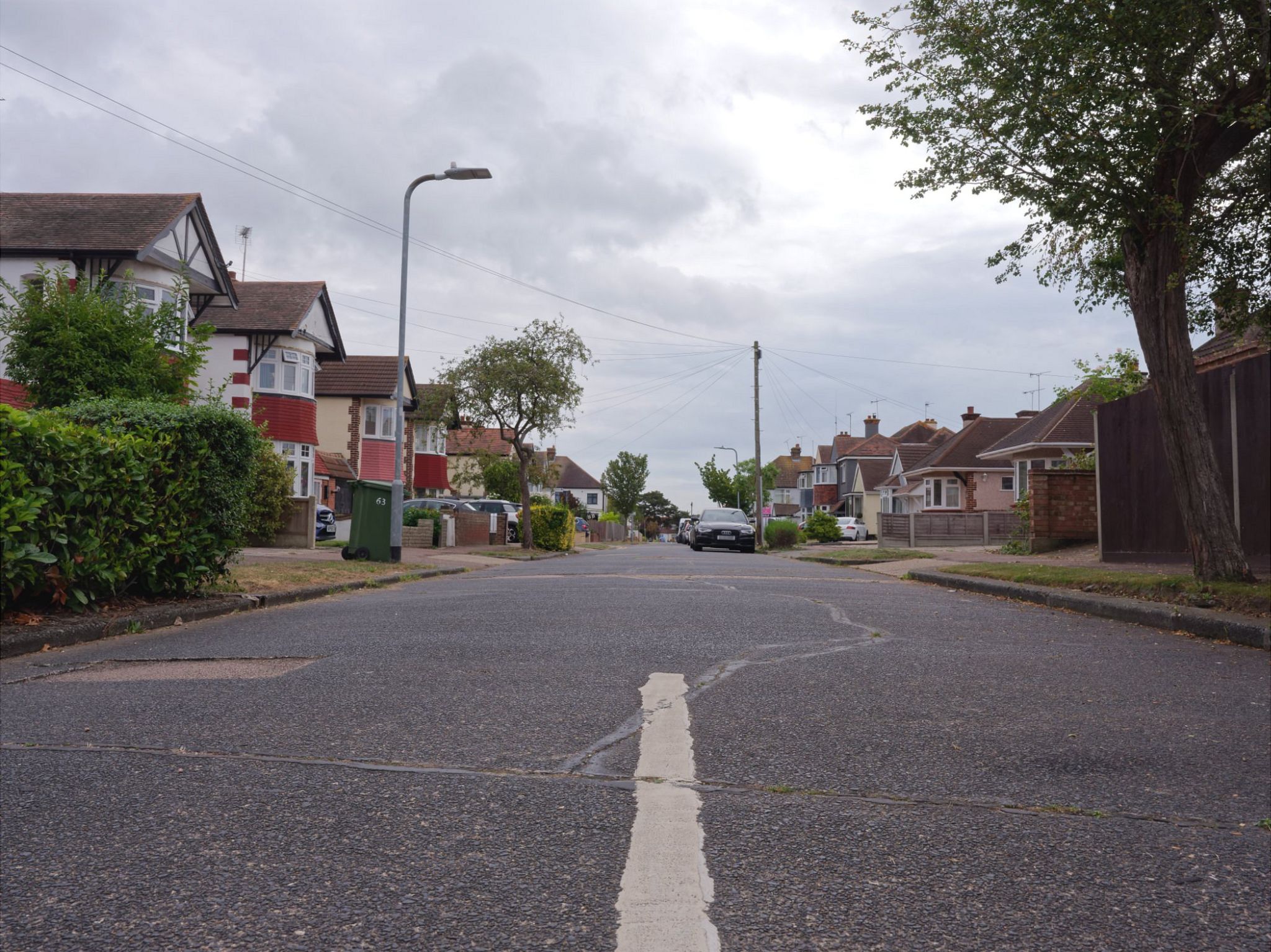 Henry Drive shot from the middle of the road. The houses are large and the street is lined with trees