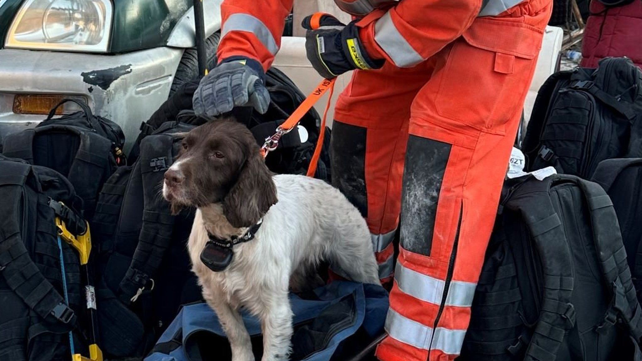 Rescue worker with sniffer dog