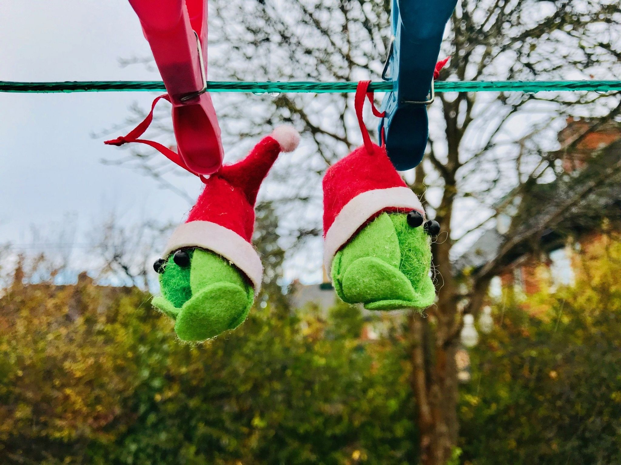 Festive sprouts hanging from a washing line in Abingdon