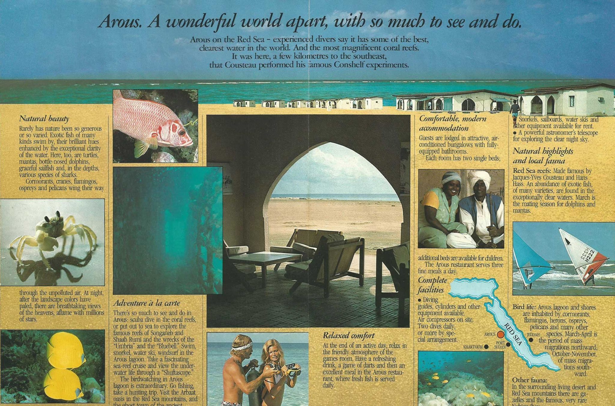 Red Sea Diving Resort The Holiday Village Run By Spies BBC News