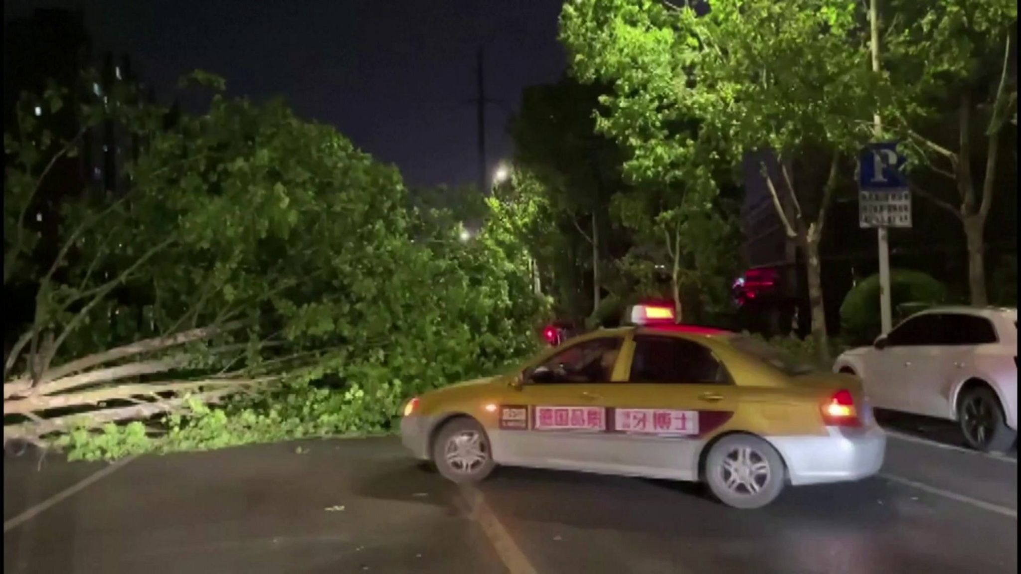Fallen tree by police car in Nantong