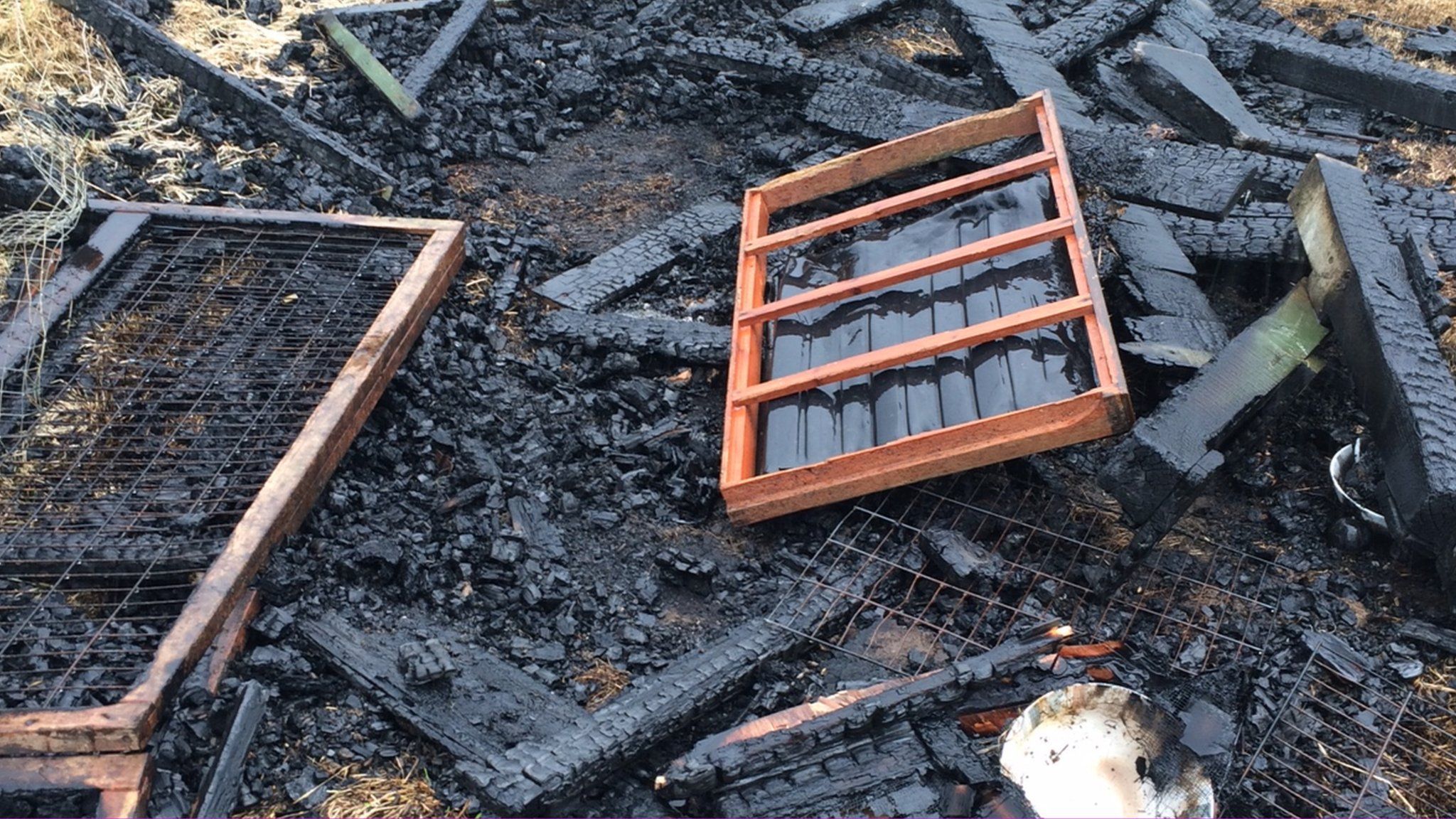 Remains of guinea pig hutch after arson attack