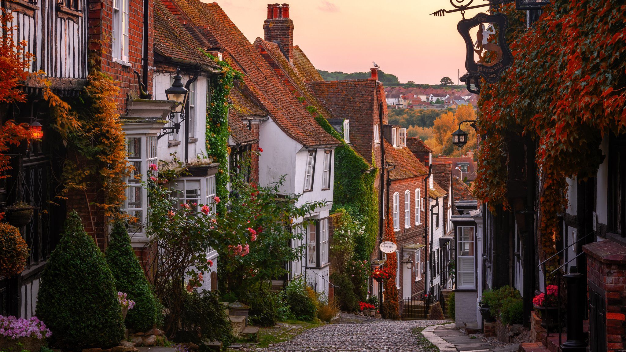 A row of houses in Rye, East Sussex
