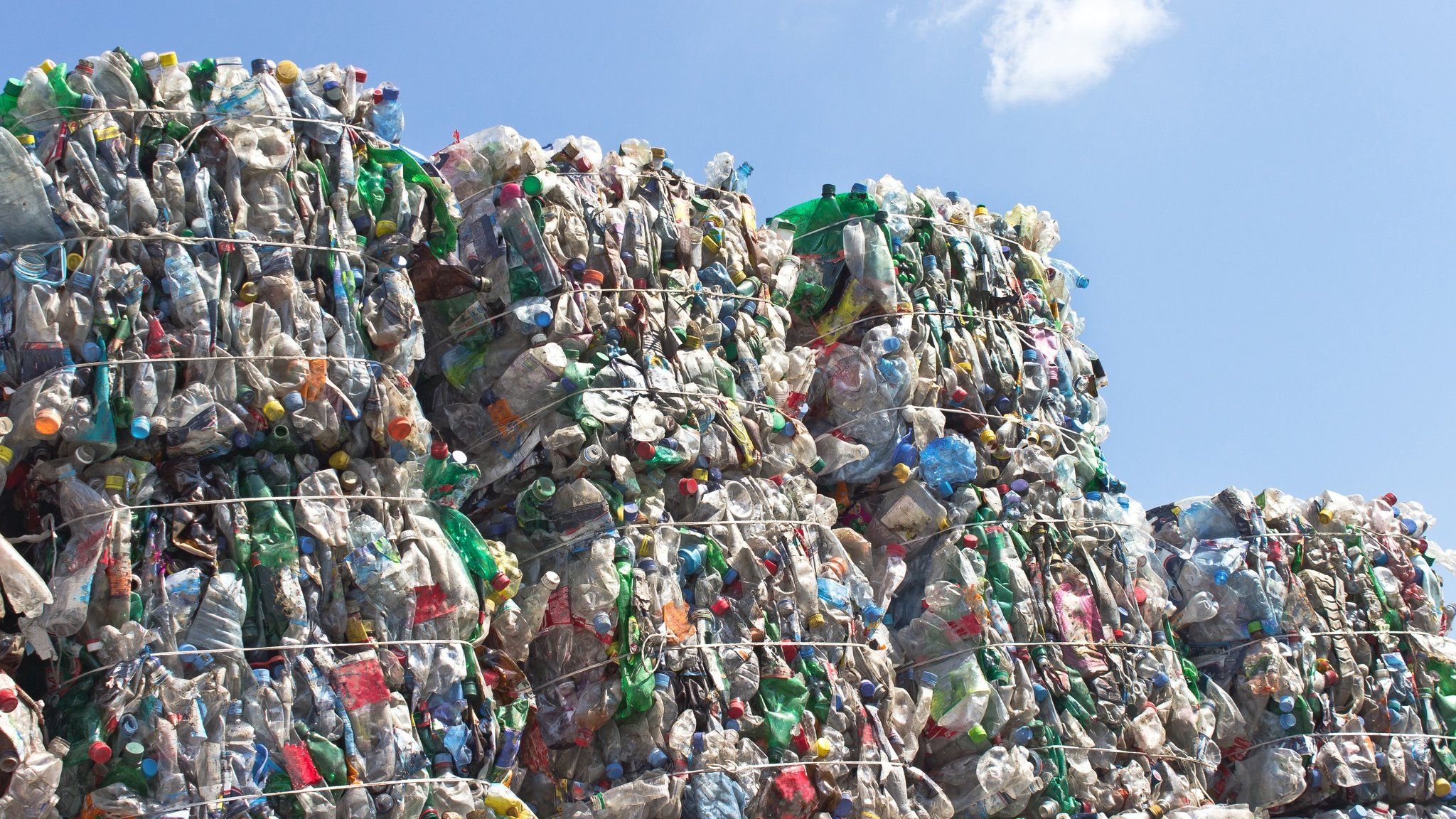Plastic bottles at recycling plant