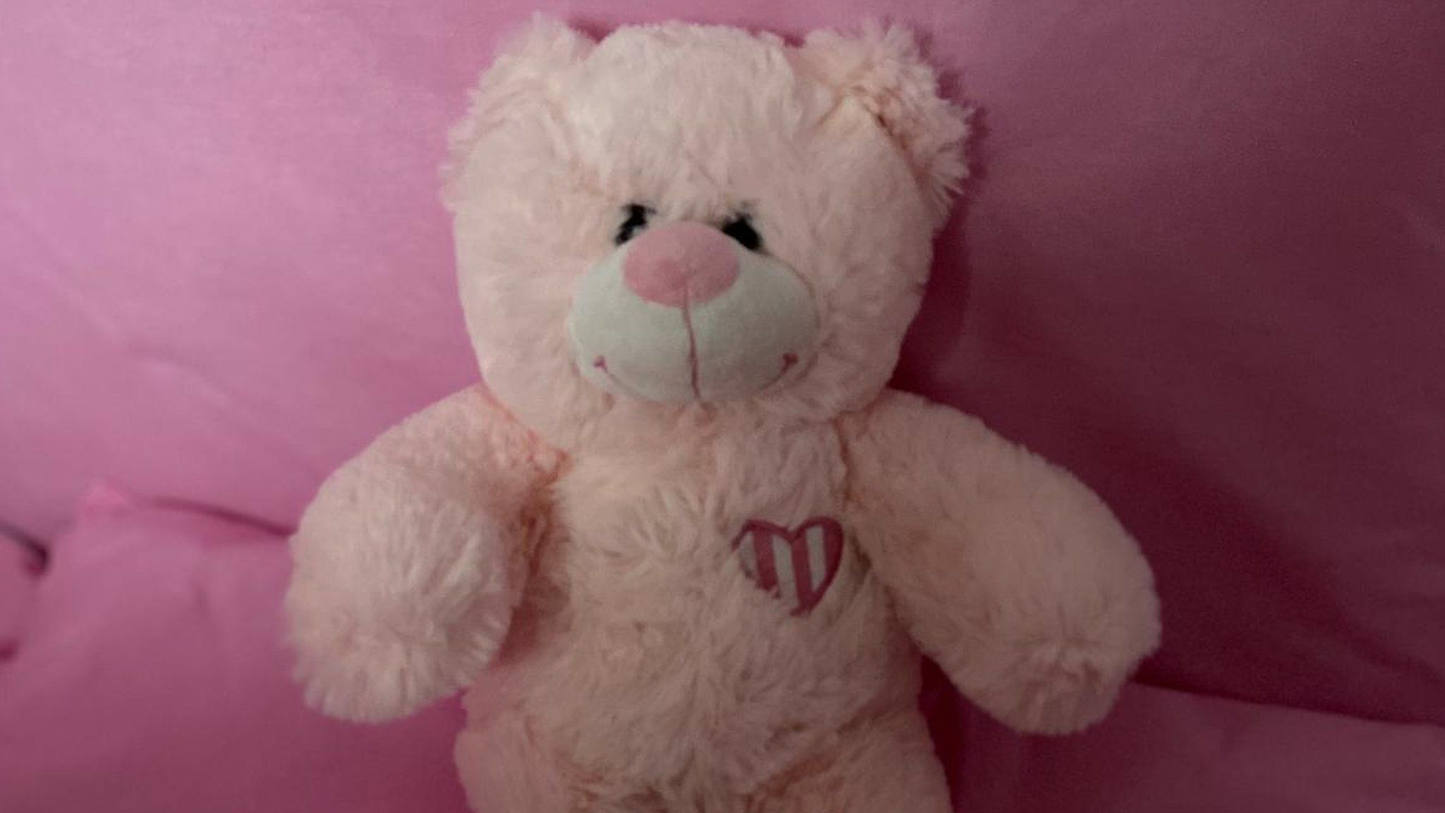 Private baby scan teddy bear
