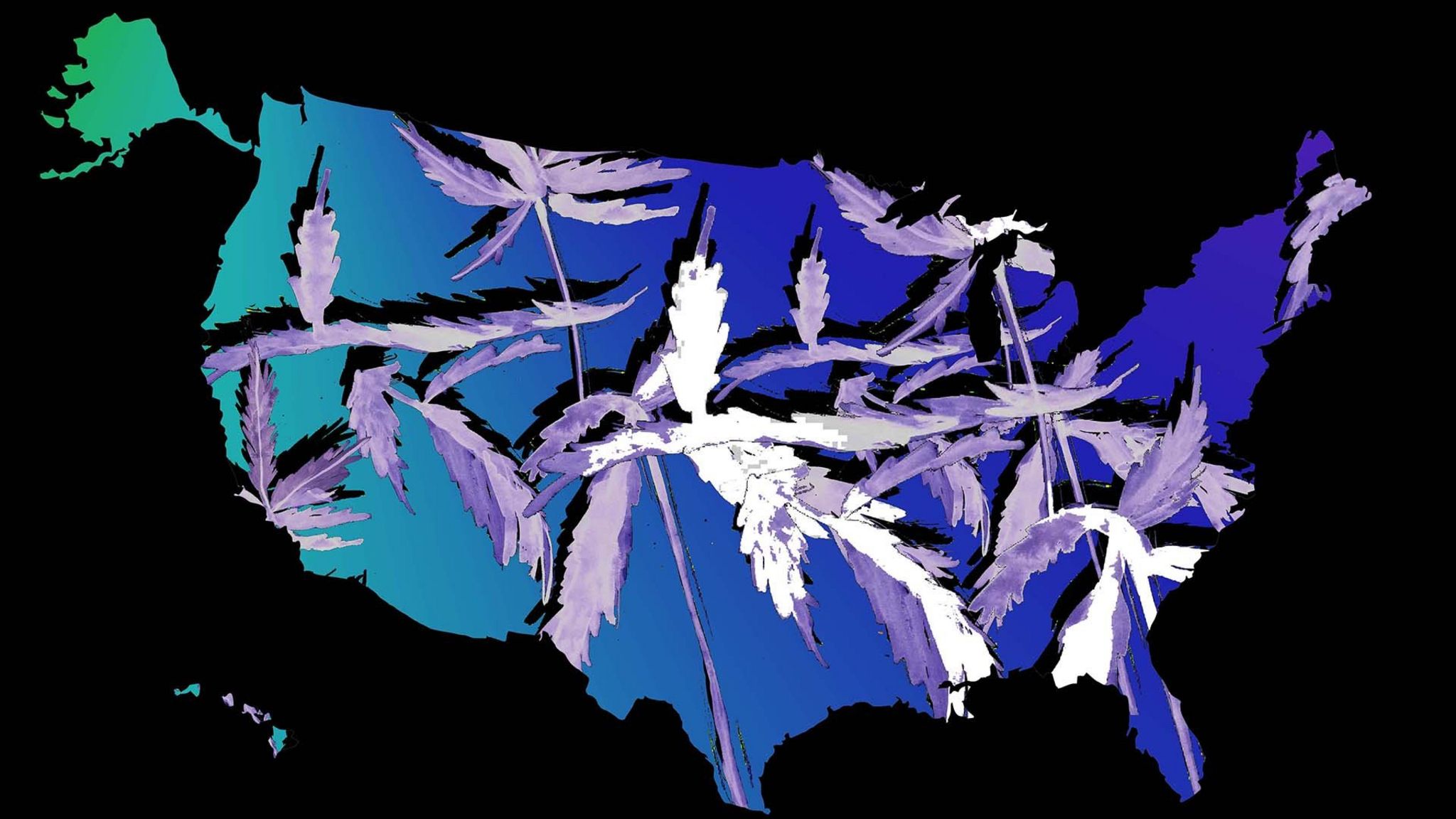 map of US with weed background