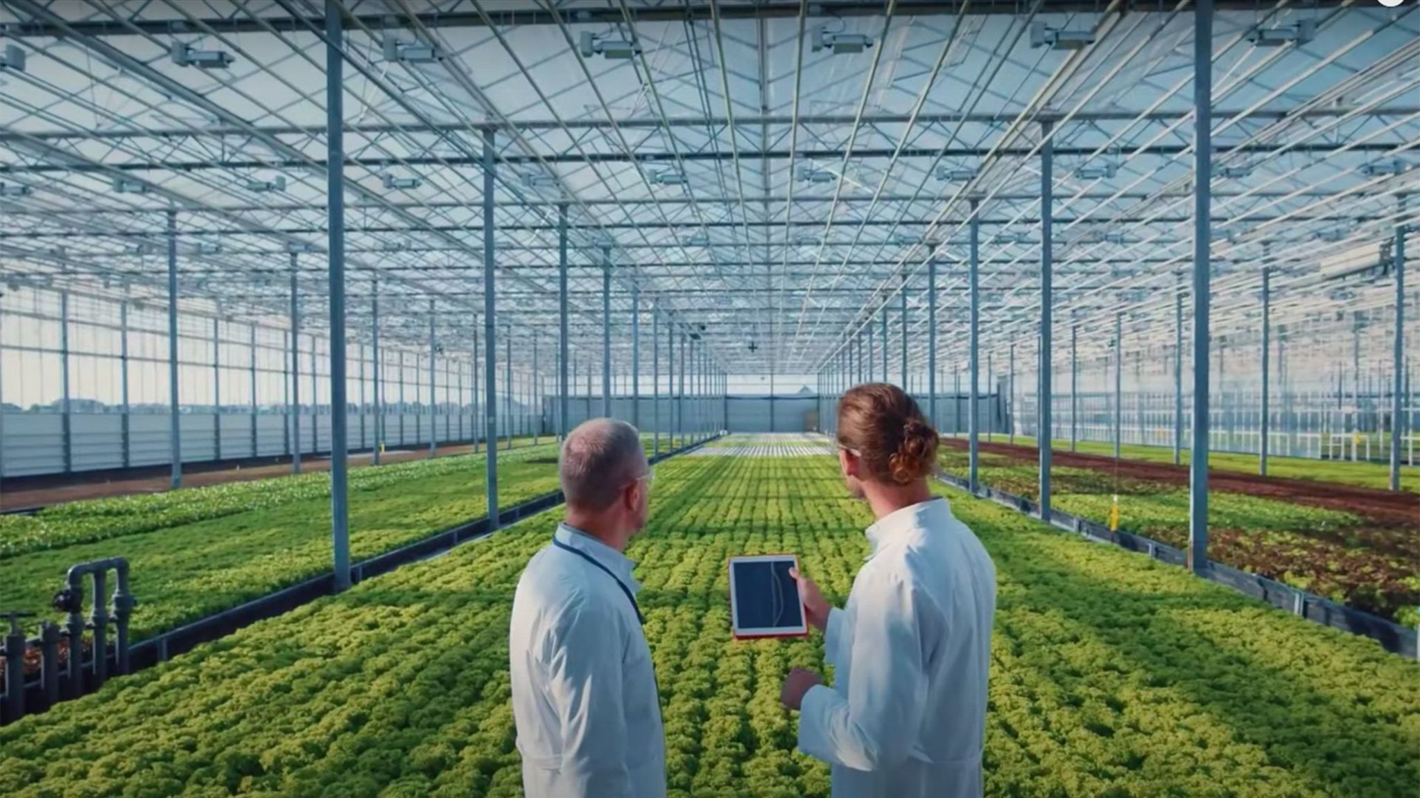 Publicity material shows a greenhouse providing food for Neom