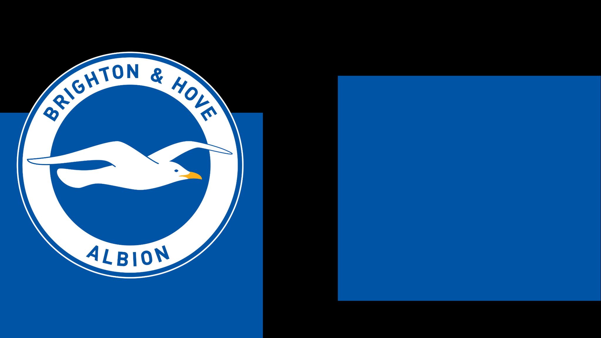 Brighton & Hove Albion club badge