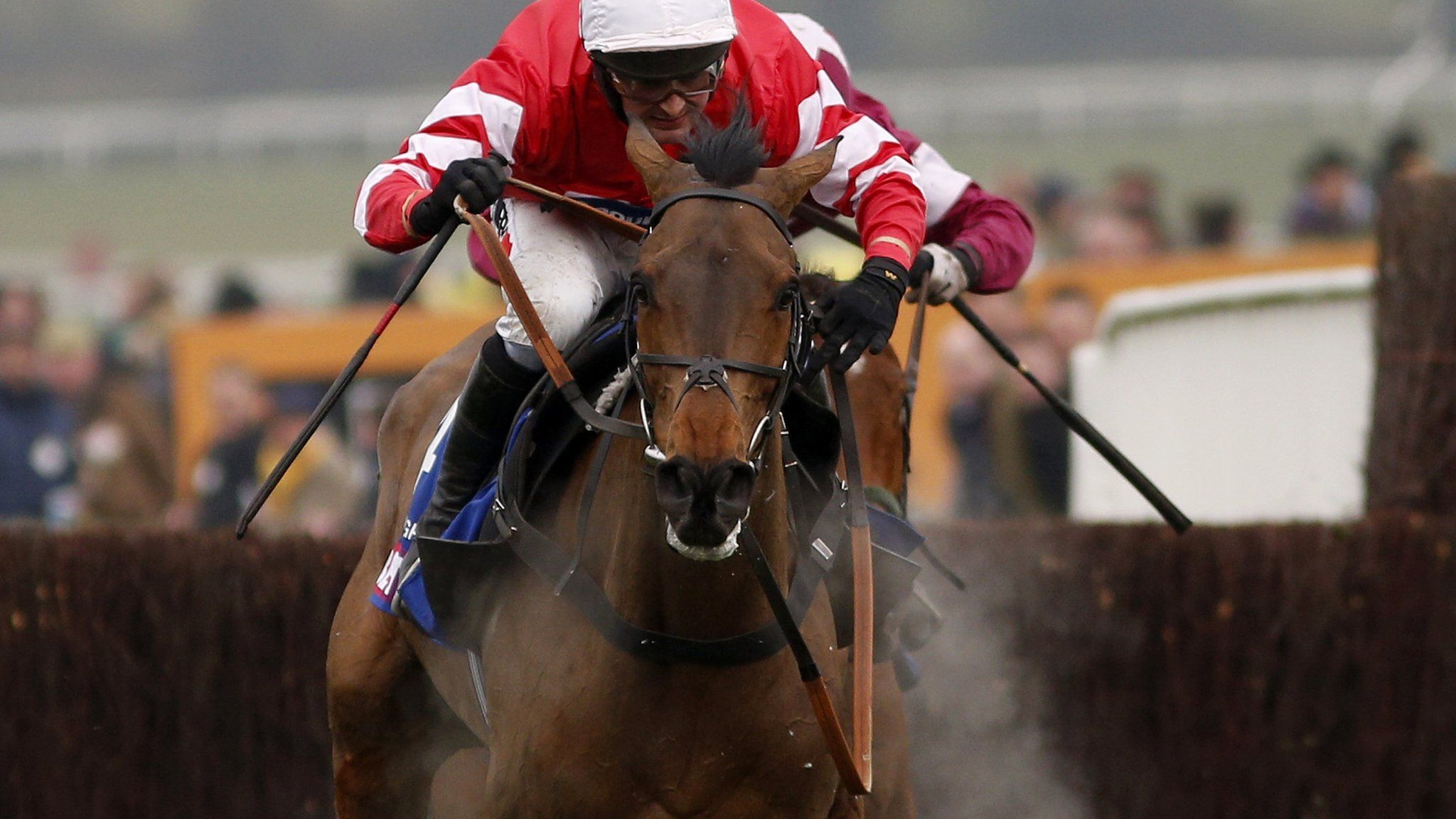 Any Currency Cheltenham Festival Winner Disqualified Over Banned Substance Bbc Sport 8282