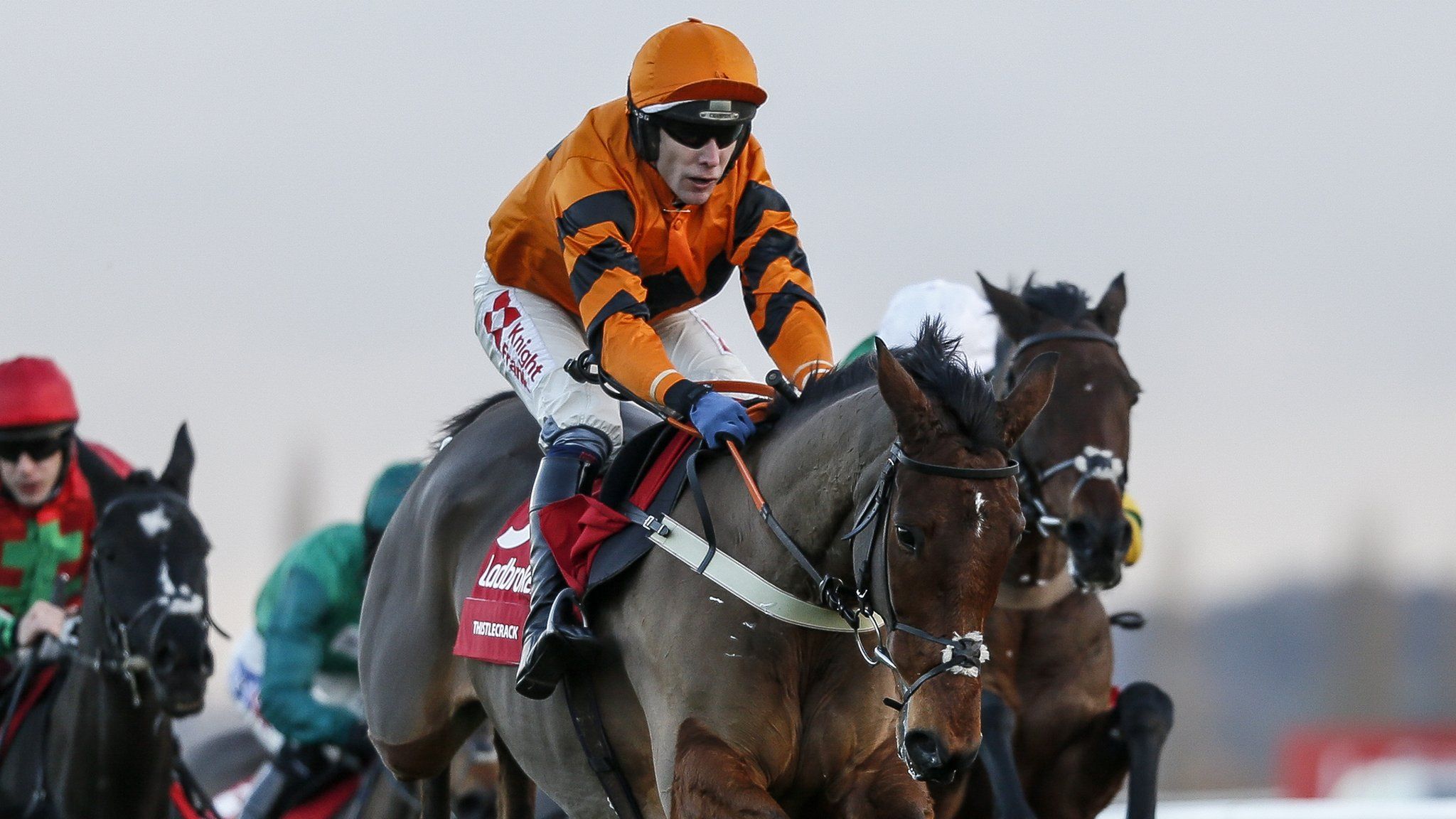 Thistlecrack out of Cheltenham Gold Cup and rest of the season with