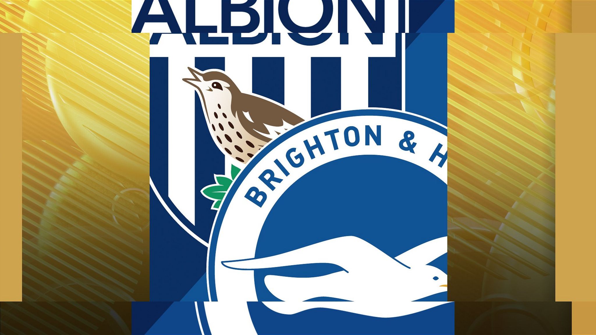 West Brom v Brighton