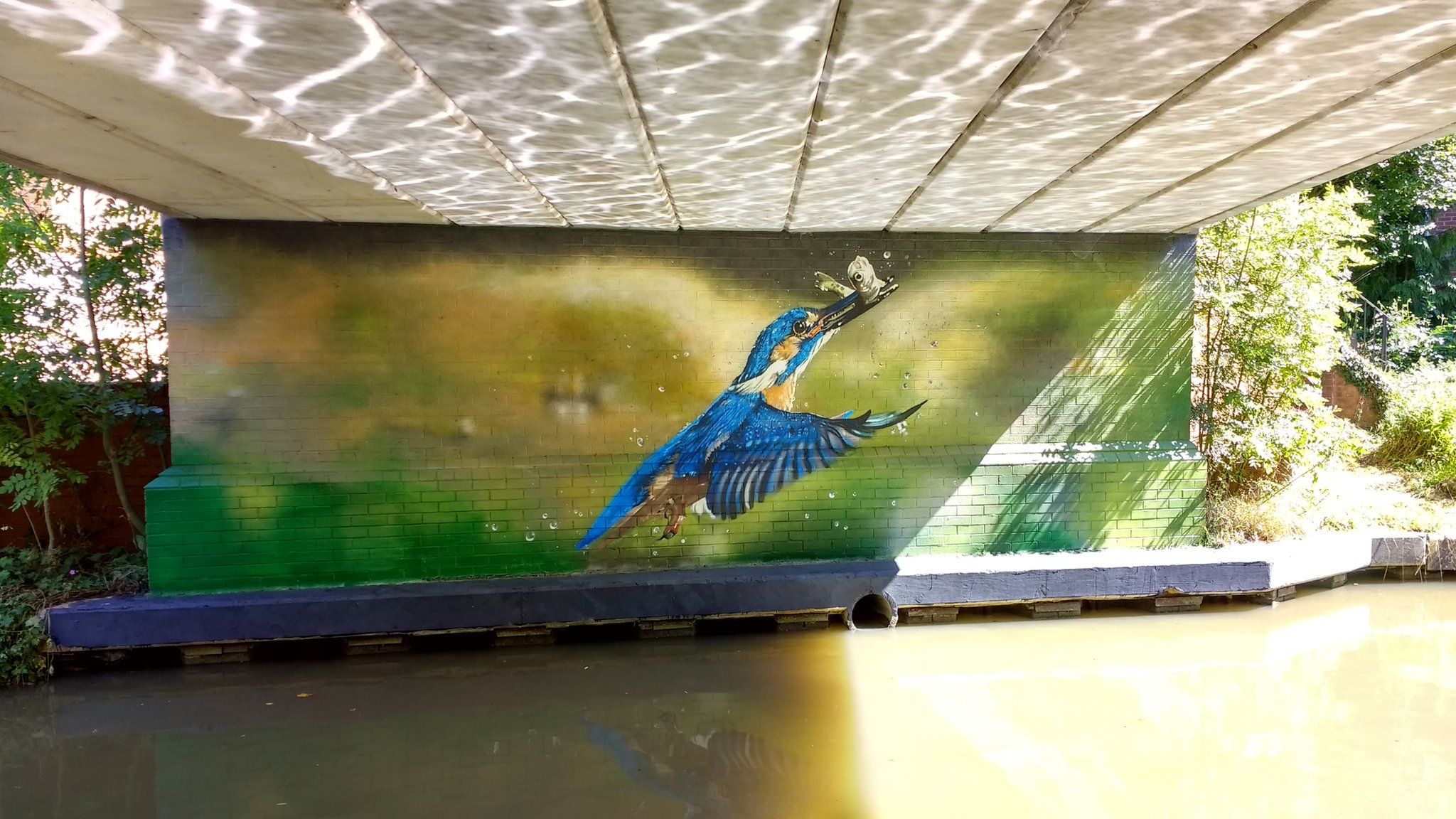 Kingfisher mural