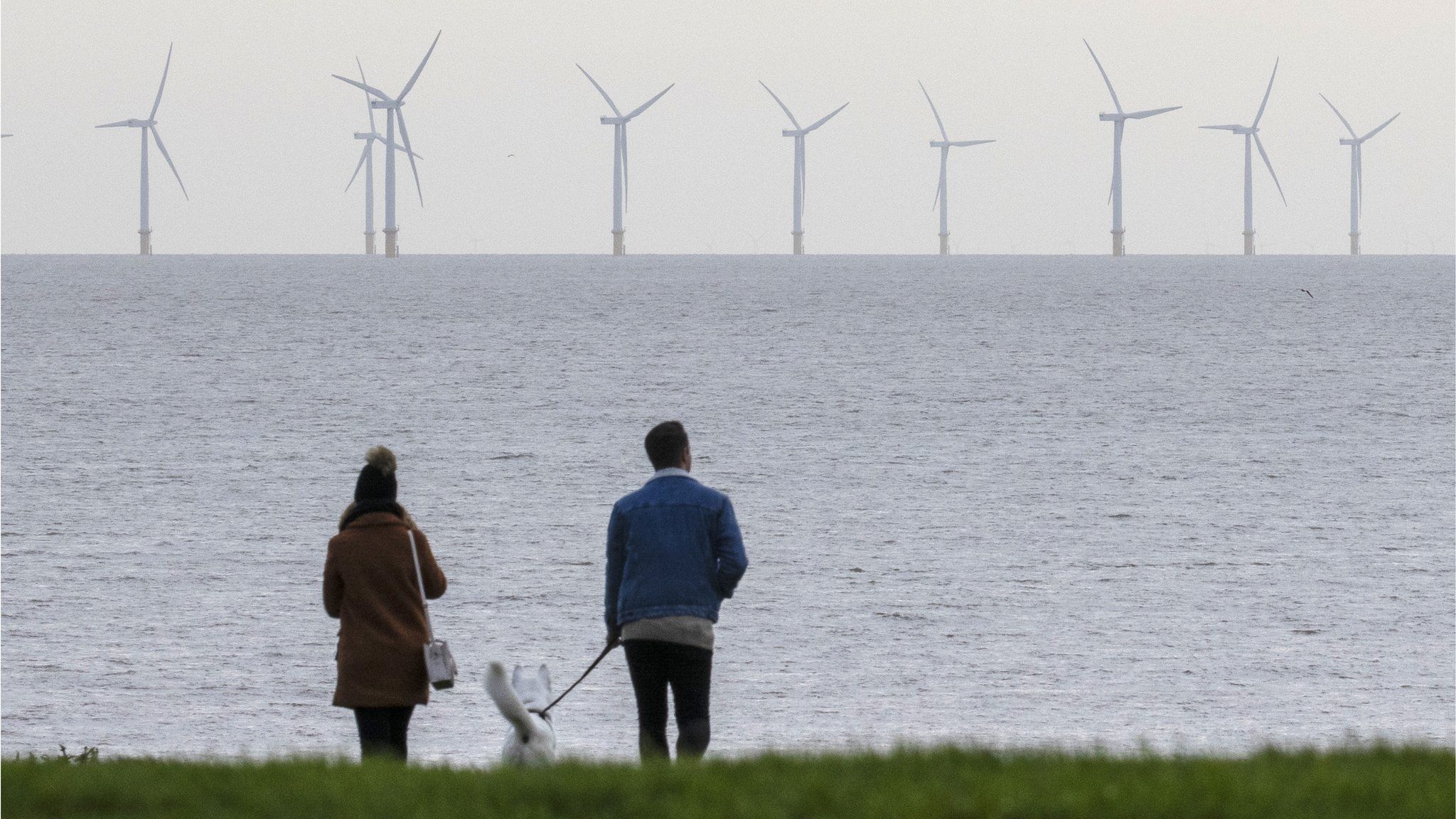 Couple with dog looking at wind farm