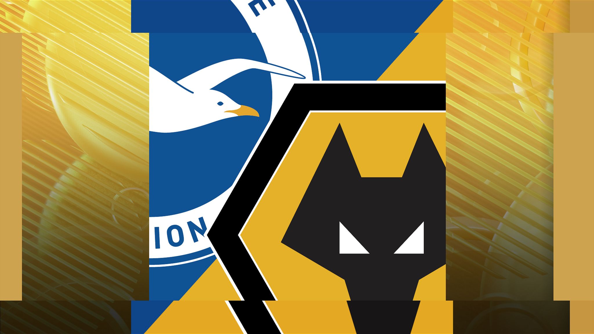 Brighton v Wolves