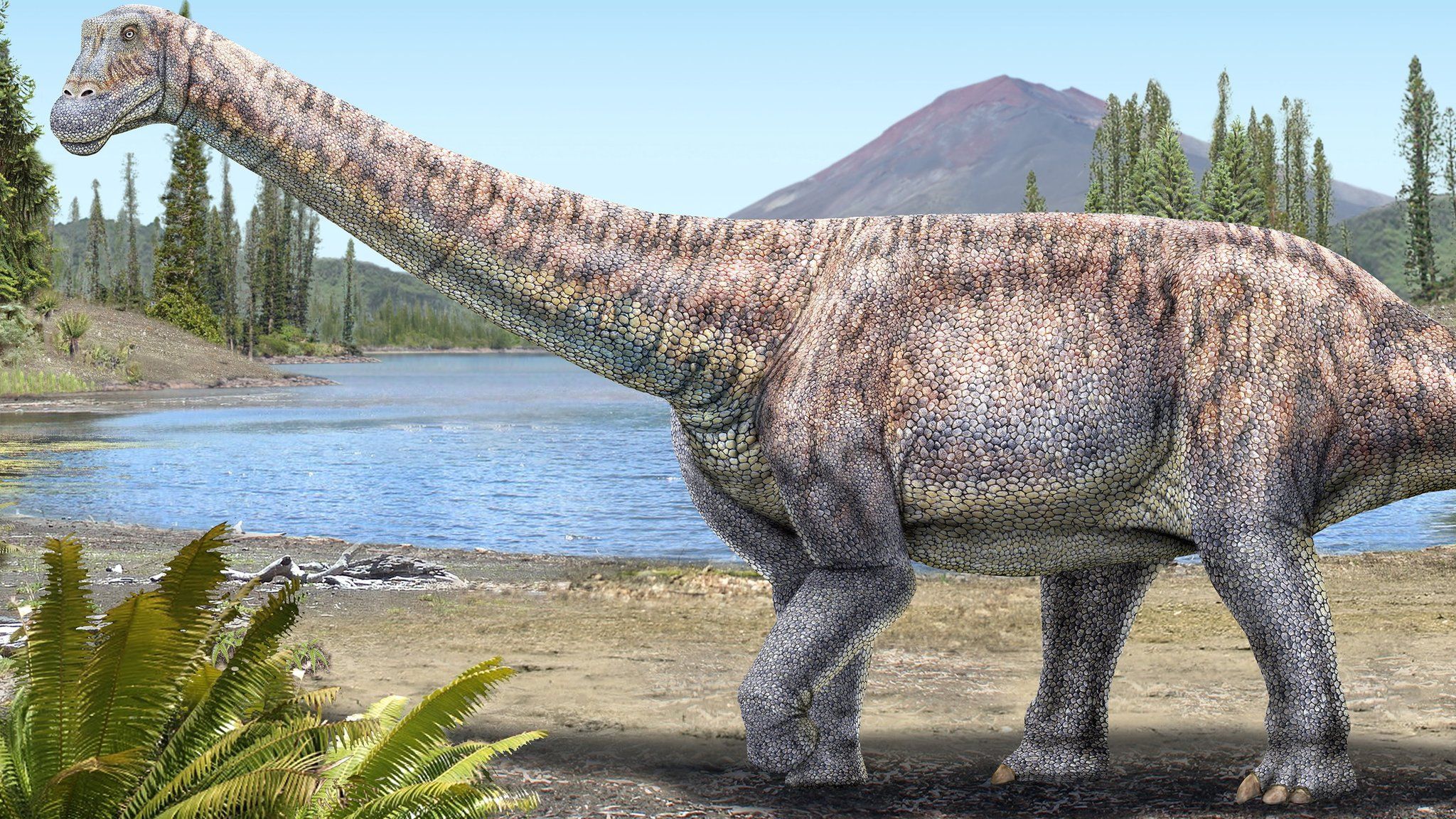 An artist's impression of a plant-eating dinosaur whose remains scientists discovered in the Atacama Desert in Chile