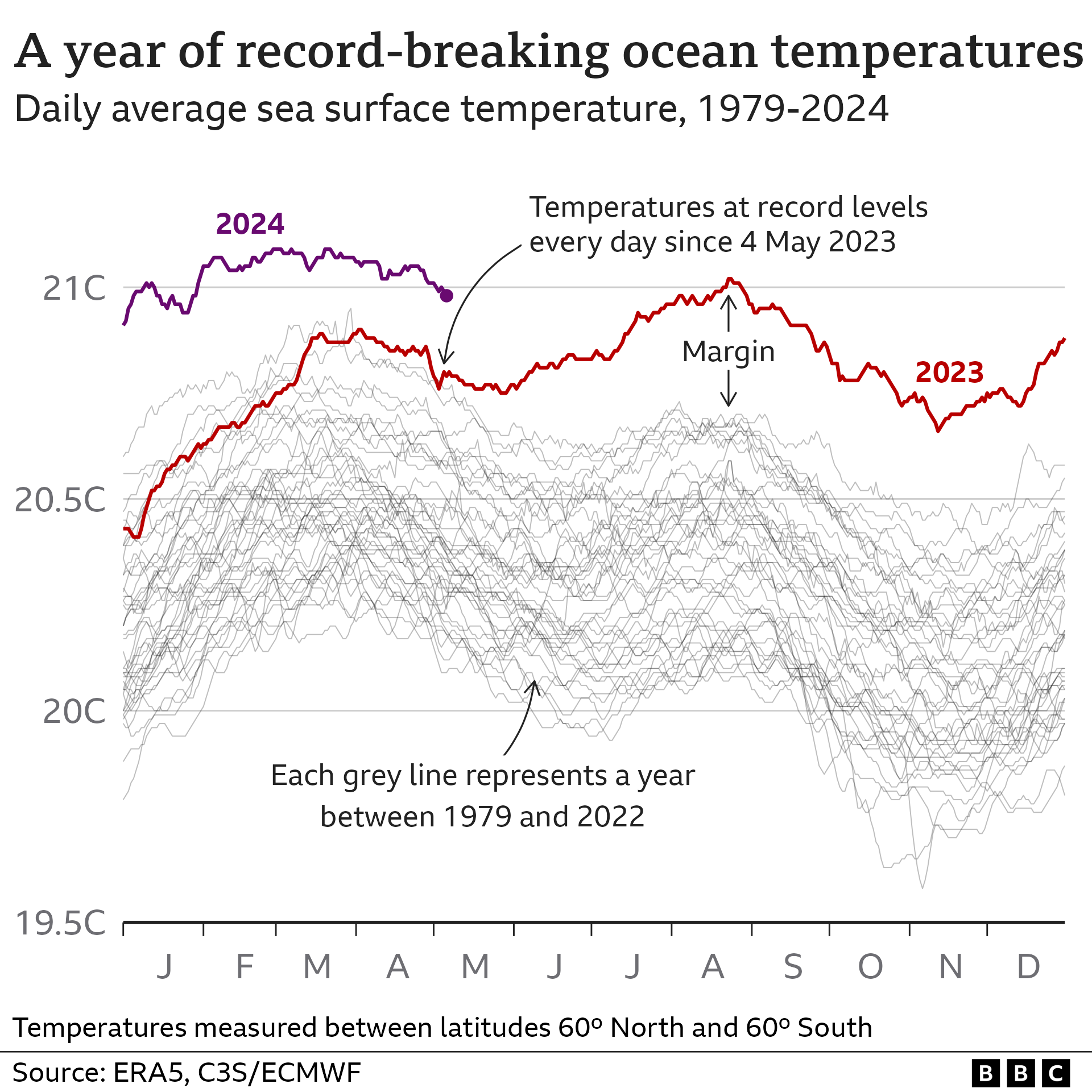 Multiple line chart showing global average sea surface temperatures every year since 1979. Since 4 May 2023, temperatures have been at record levels for the time of year, sometimes by a huge margin.