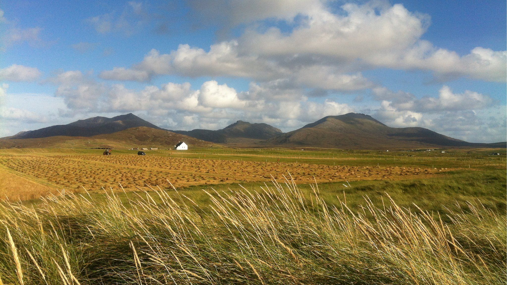 Croitearachd