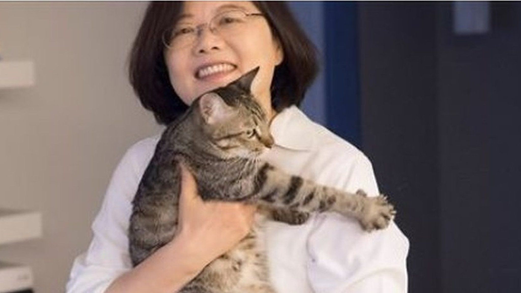 Screengrab of Tsai Ing-wen's Facebook post about her cats, made on 21 January 2016