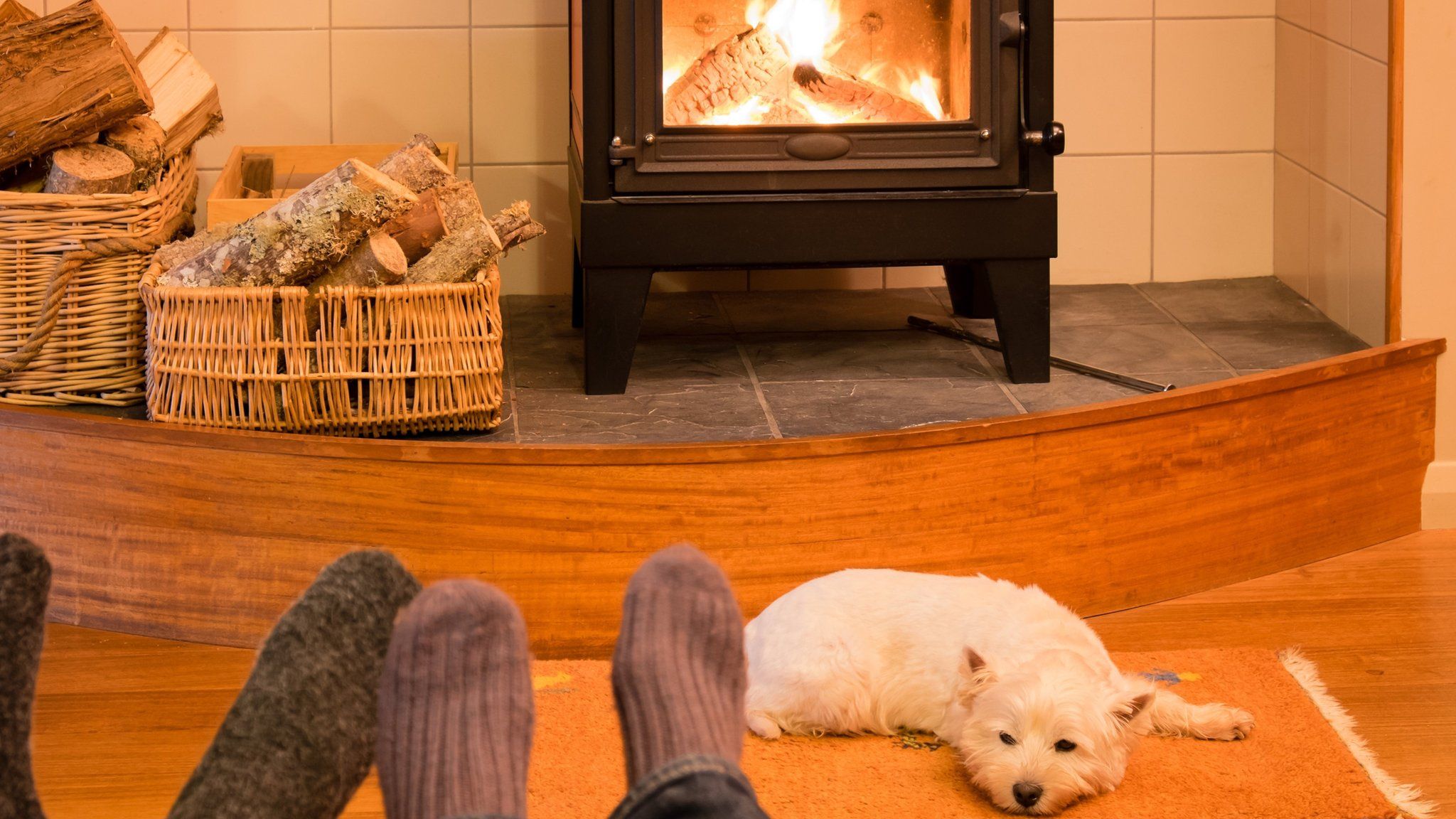 Wood burner with dog in front