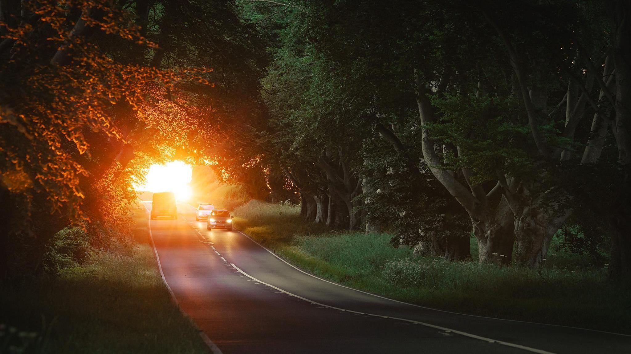 THURSDAY - Sun streams through the trees as cars drive along the road under a canopy of Beech trees