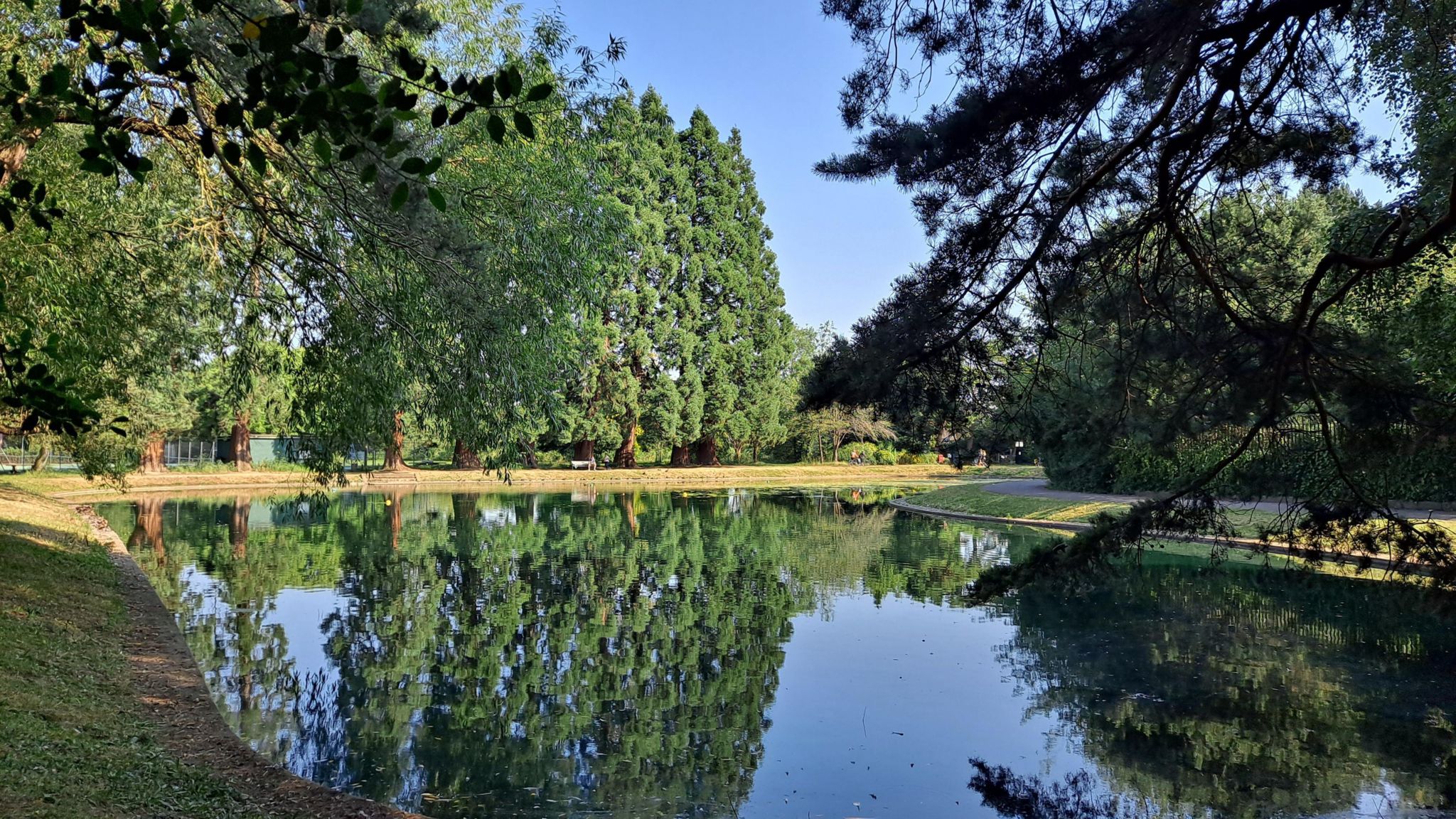 A pond in Oxford glistening in the sun and surrounded by trees, which are reflected in the water below