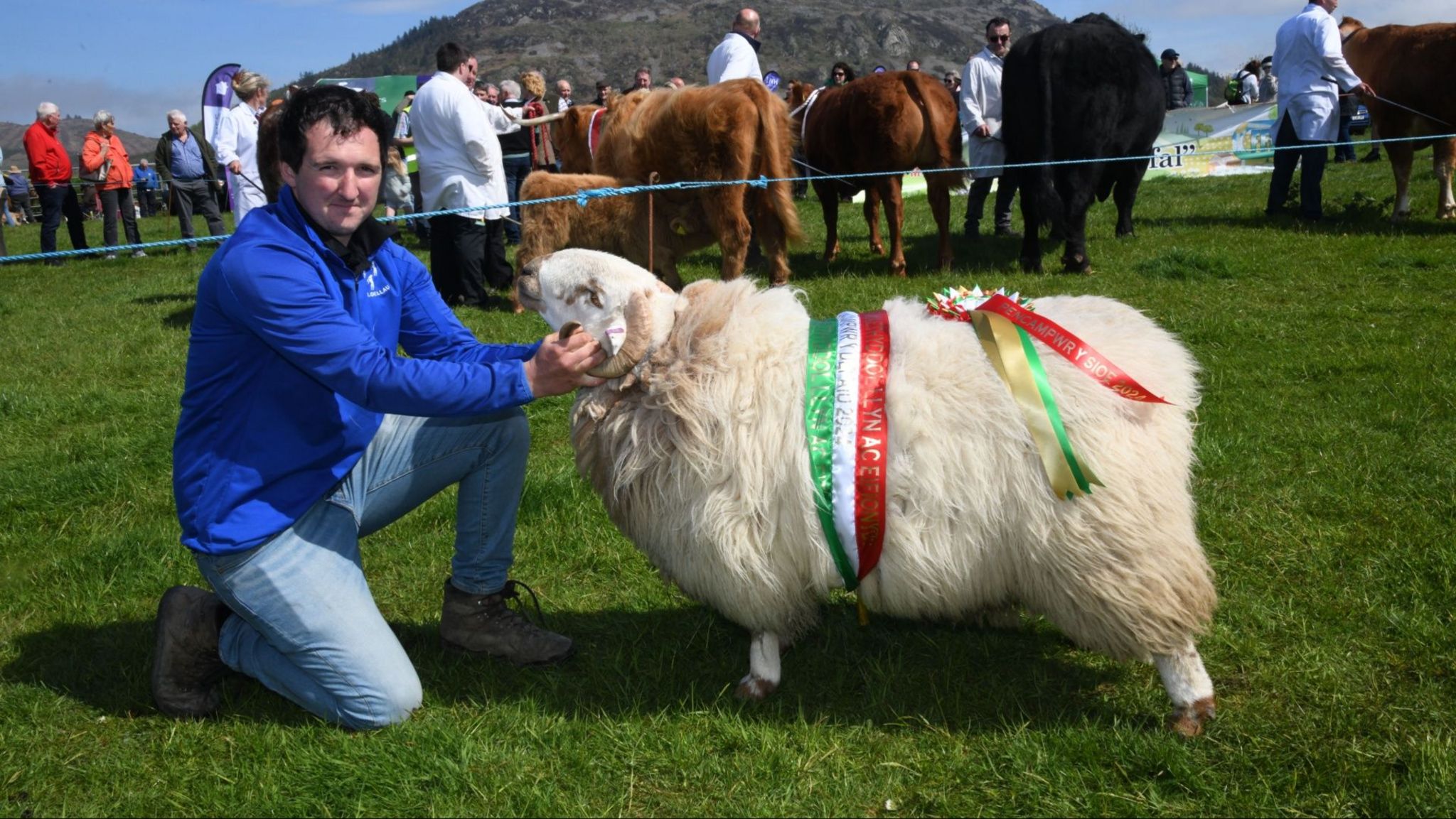 Oriel: Sioe Nefyn - BBC Cymru Fyw