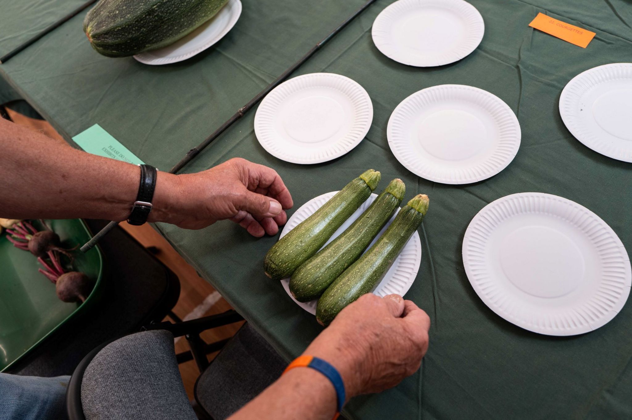 Courgettes being lined up