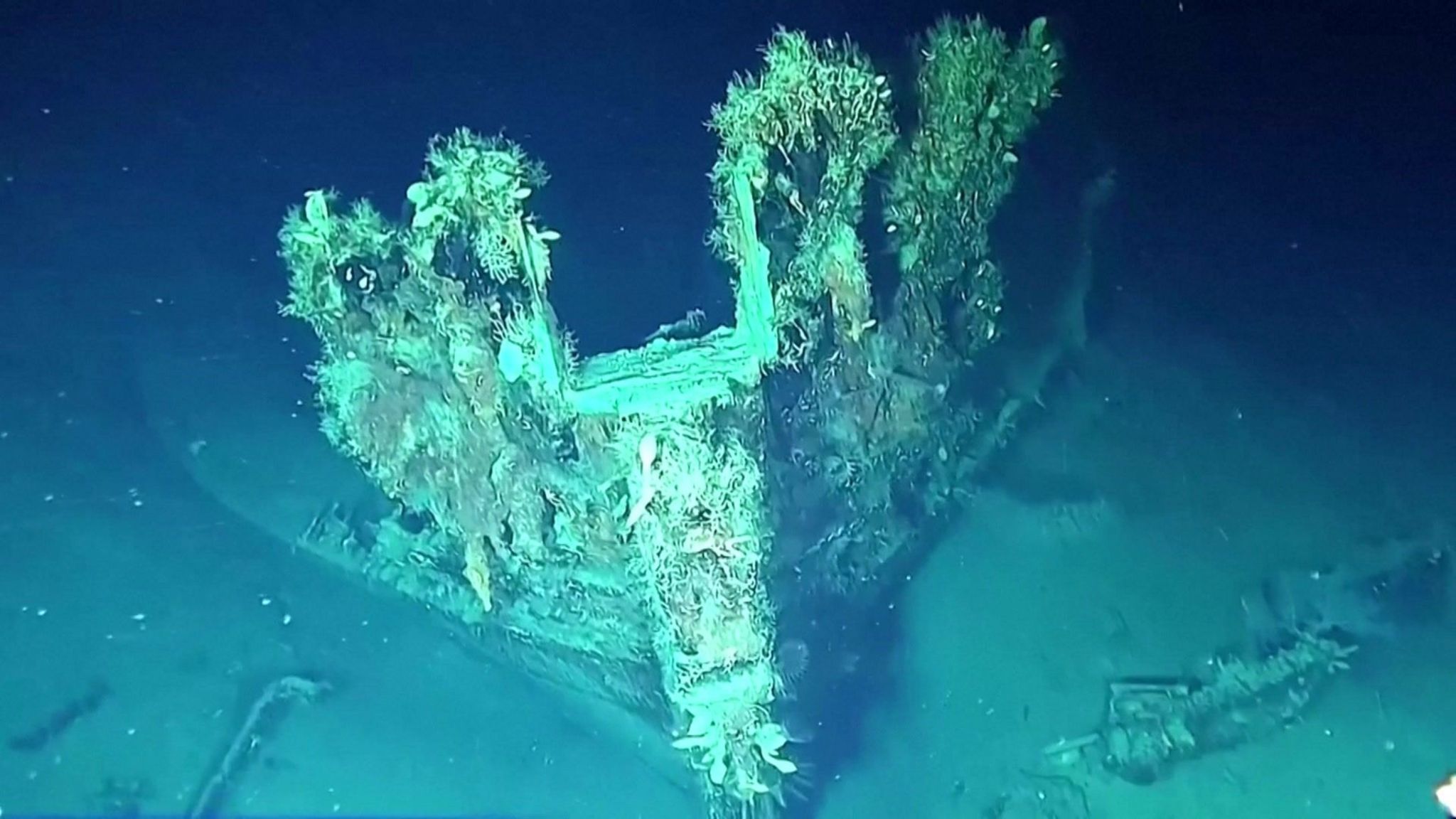 The front of the San José shipwreck seen underwater
