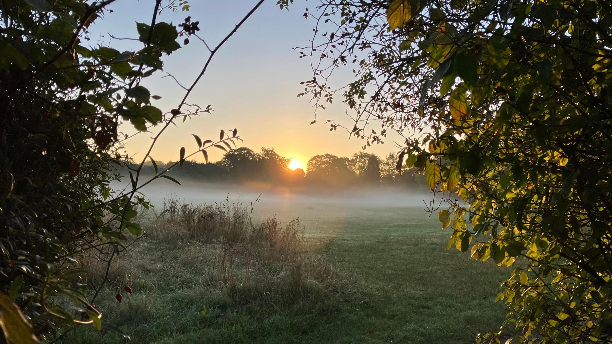 A field framed by tree branches on either side looks to have winter dew on the grass and sits beneath a low, orange sun