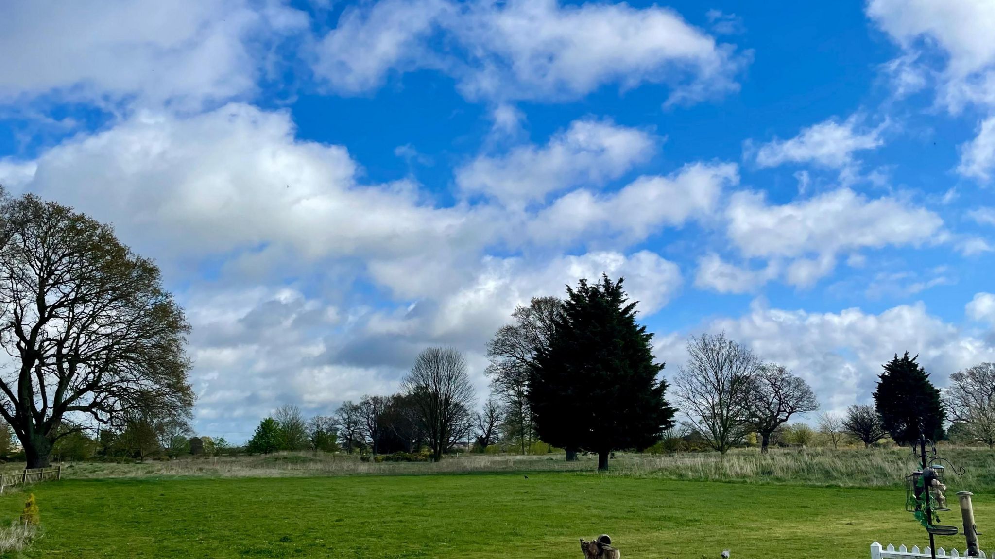Photograph o a park with some green trees and a backdrop of sunny spells with white puffy cumulus cloud