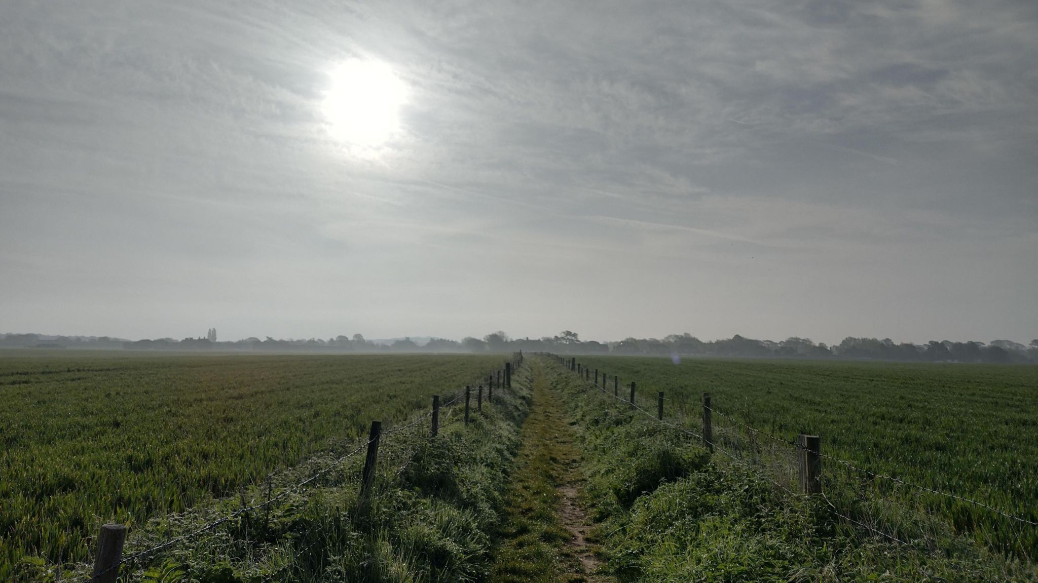 Photograph of a field with a footpath in the middle.  Lots of grey clouds but a bright sun is visible through the cloud.