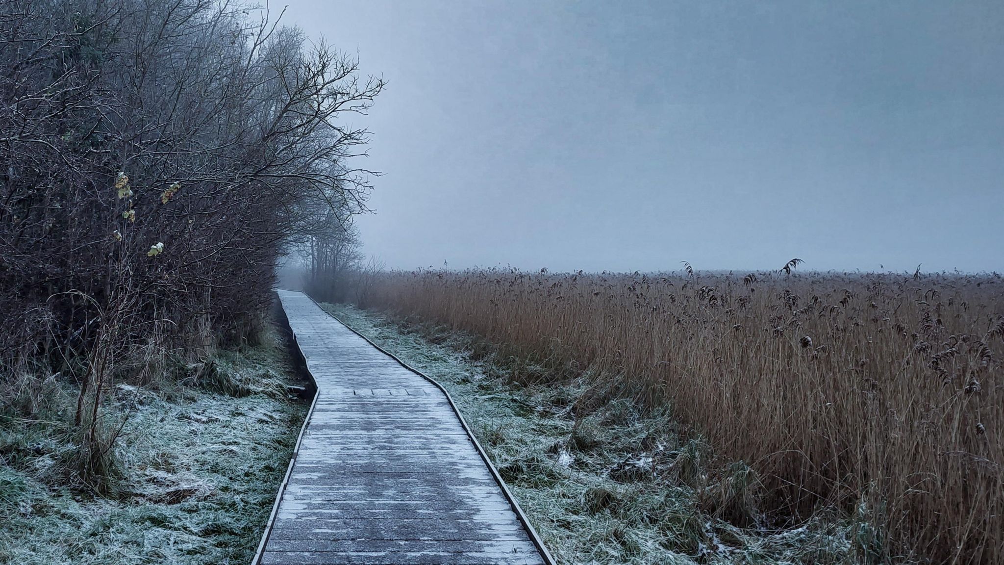 An icy footpath