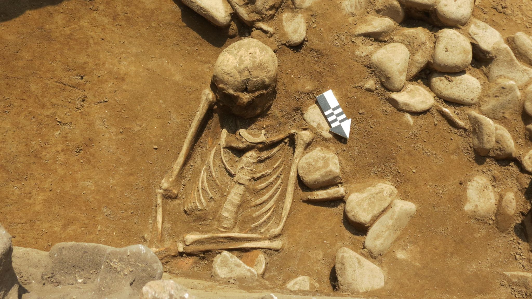 Skeleton found in Alderney