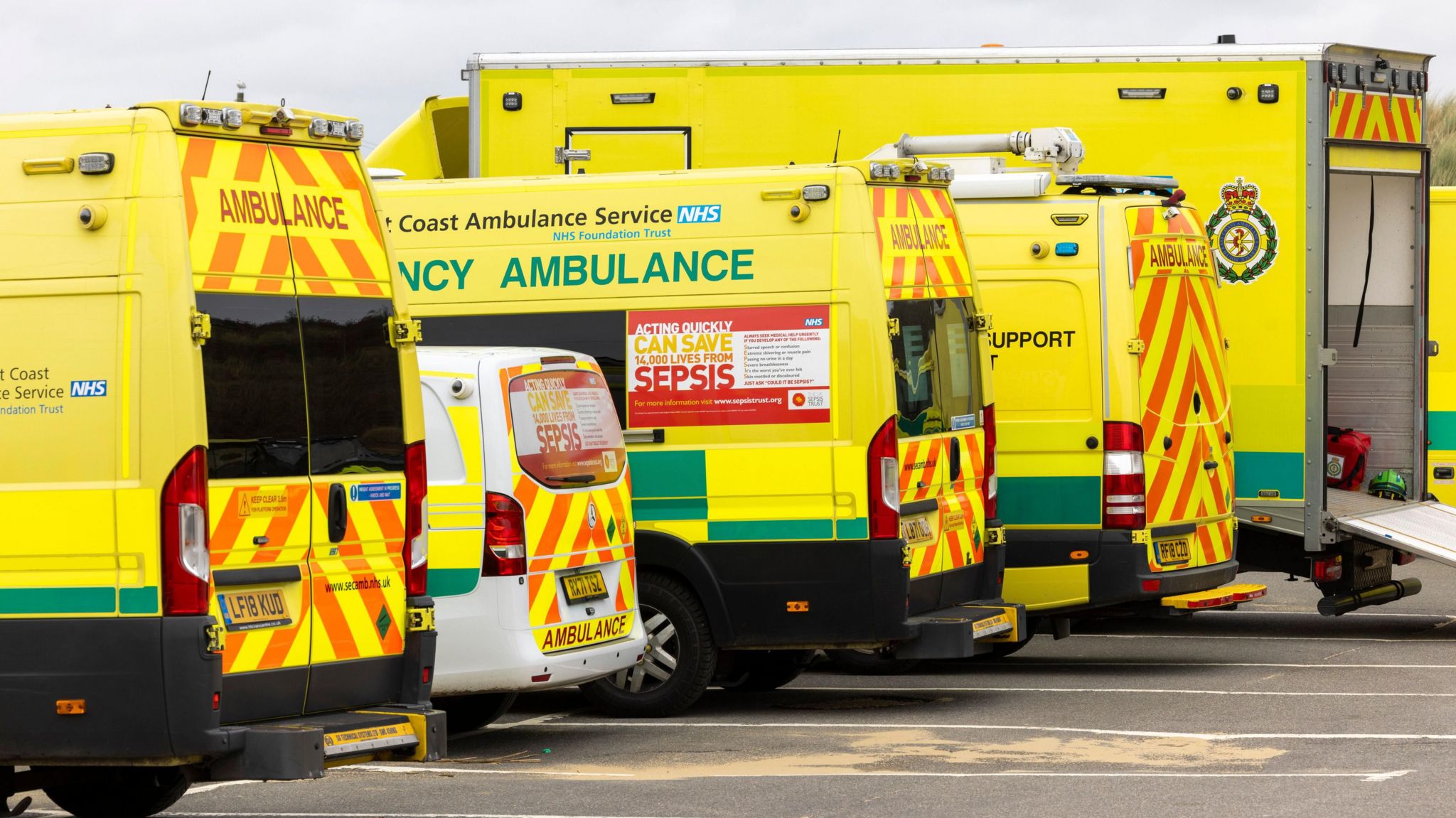 A line of ambulances in a parking area.