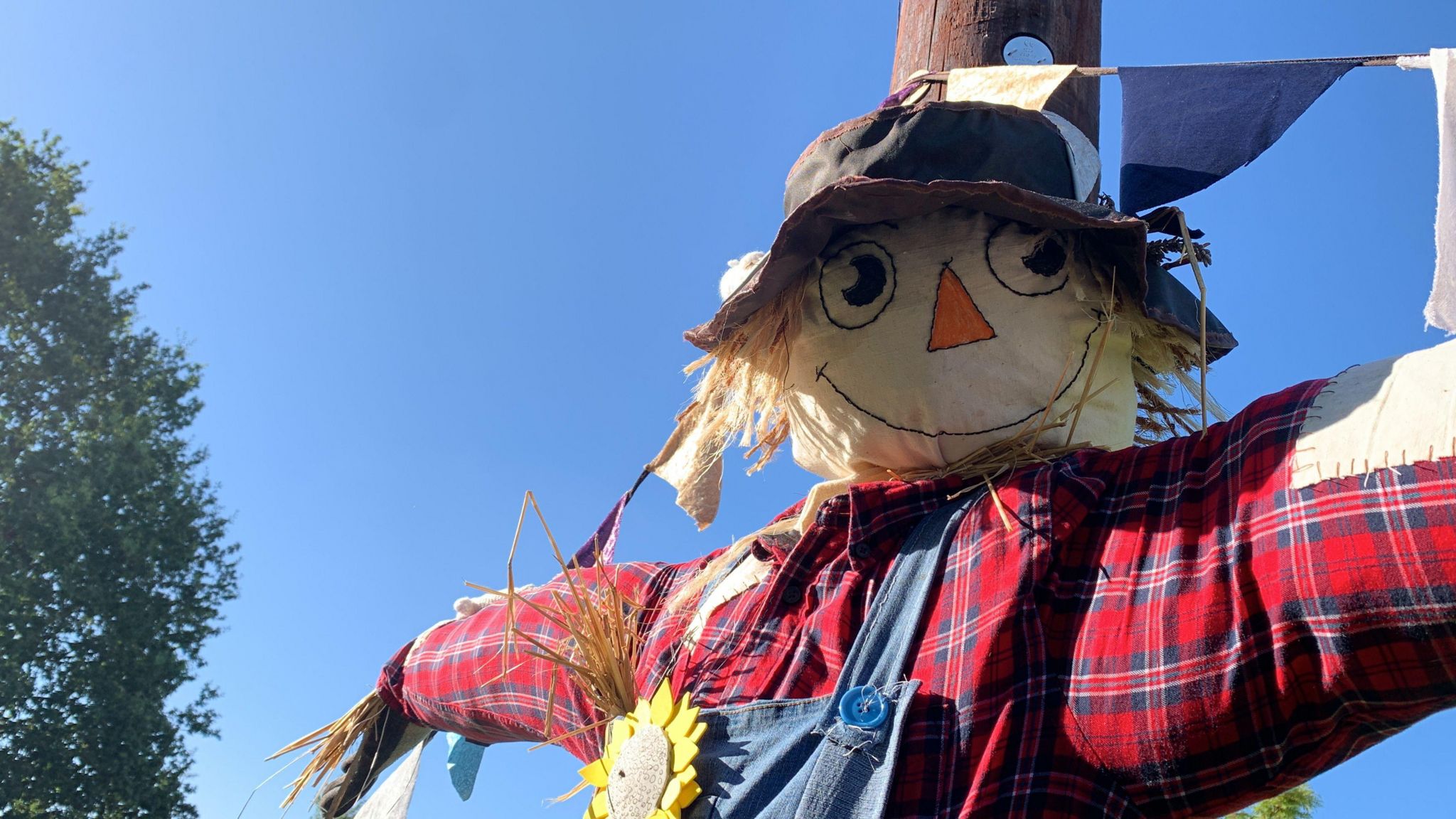 A scarecrow with a red plaid shirt, blue dungarees, a blue hat and a smiley face. It is pinned to a wooden pole with blue sky in the background