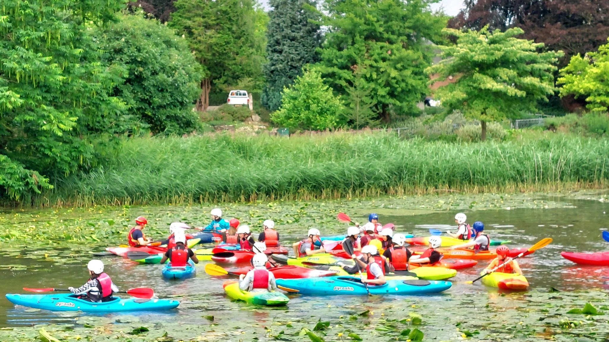 Kayakers in bright blue and yellow boats on a lake in Leamington Spa, with plenty of water plants covering the surface and trees in the background