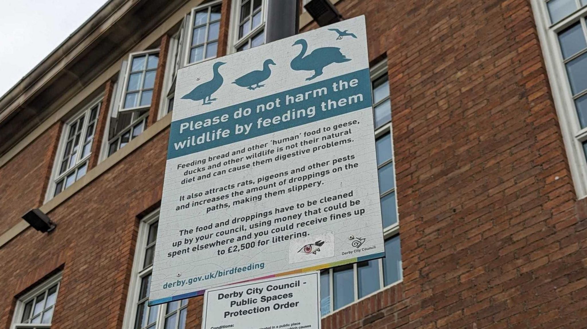Derby City Council sign asking people not to feed birds