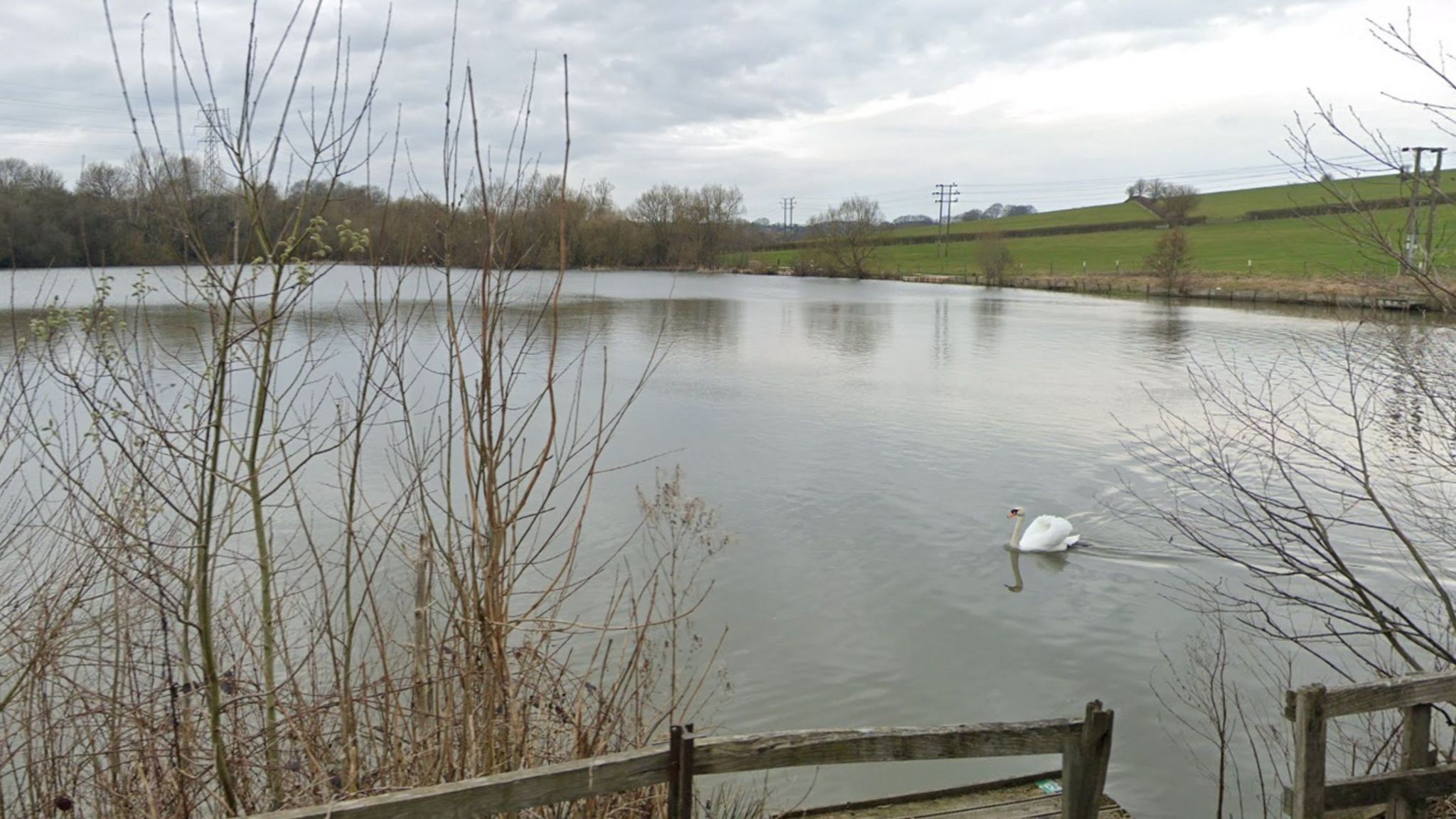 Loscoe Dam, with a swan swimming on the lake