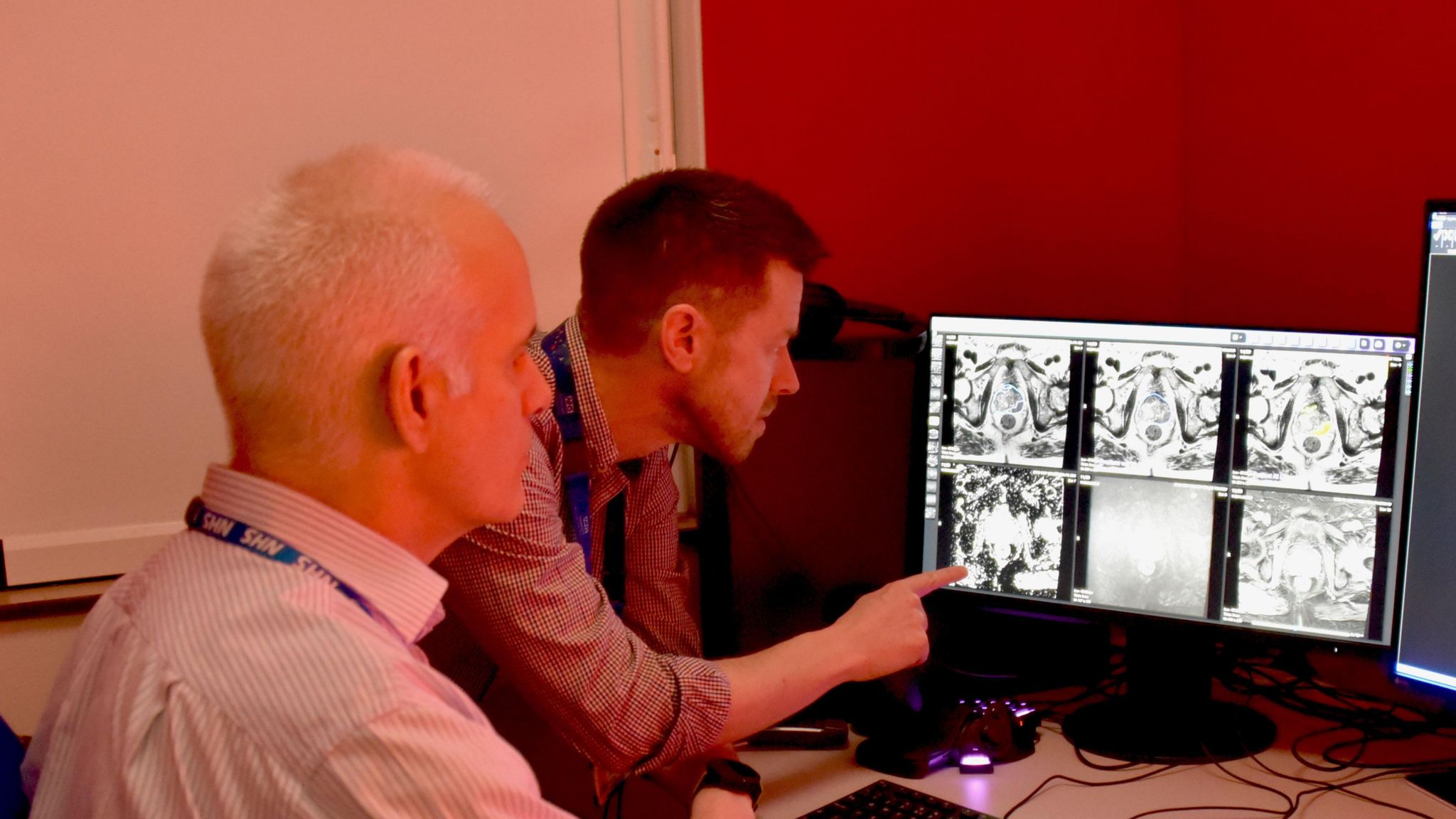 Two men looking at scans on a computer screen