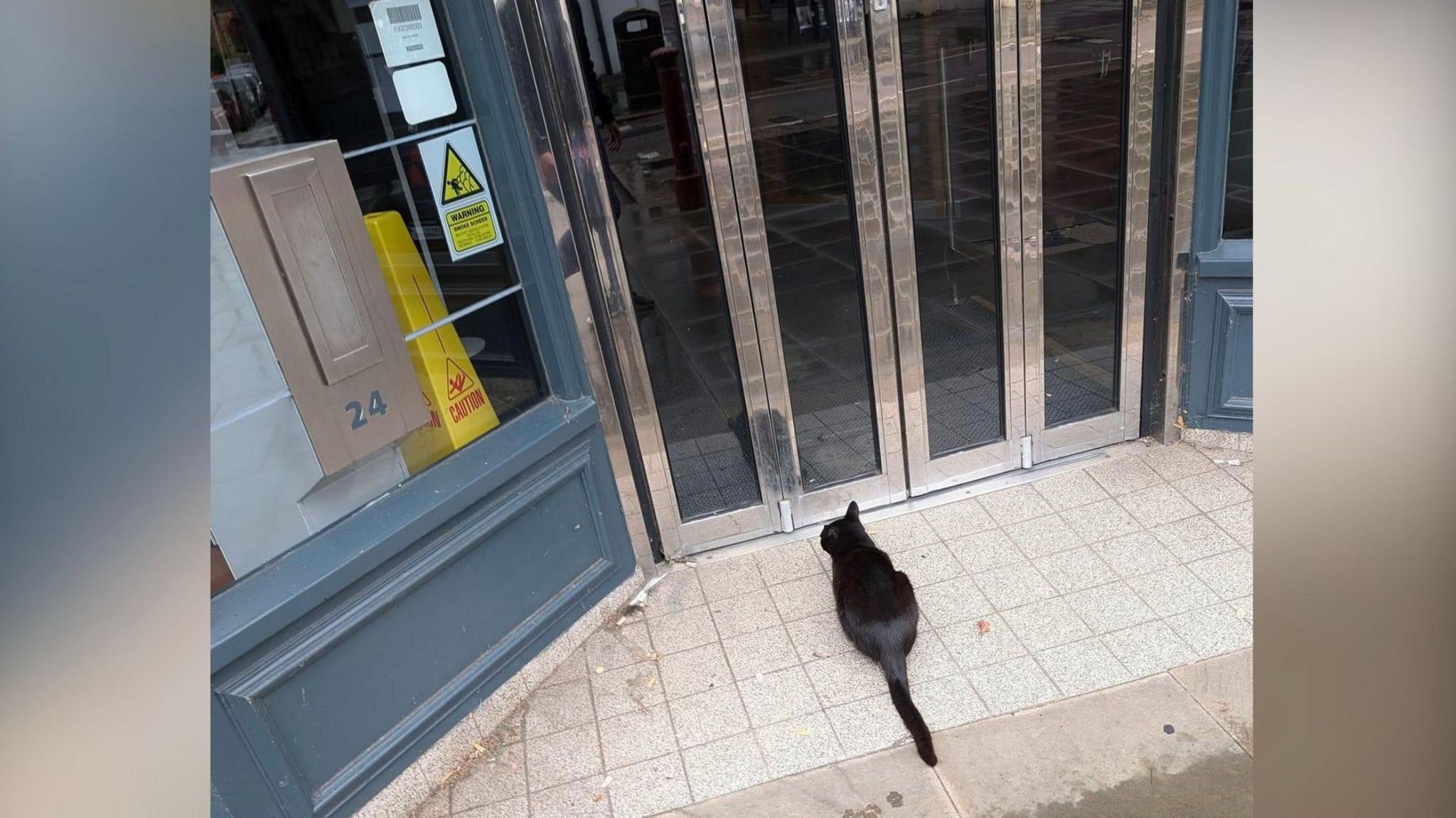 Salem waits in front of two glass-fronted doors.