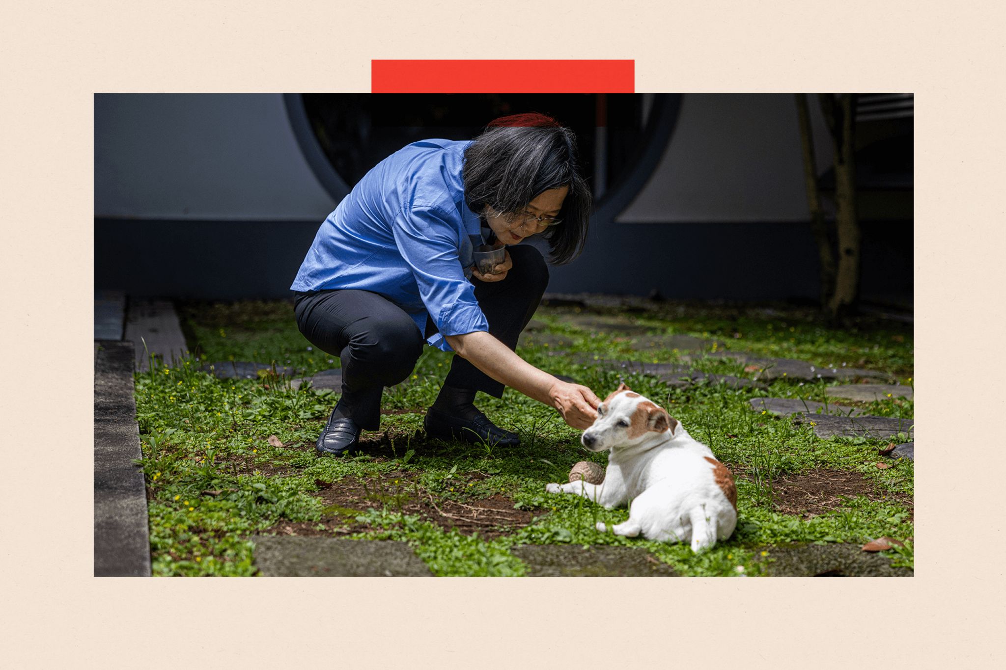 Tsai Ing-wen with Le Le, her Jack Russell terrier retired rescue dog