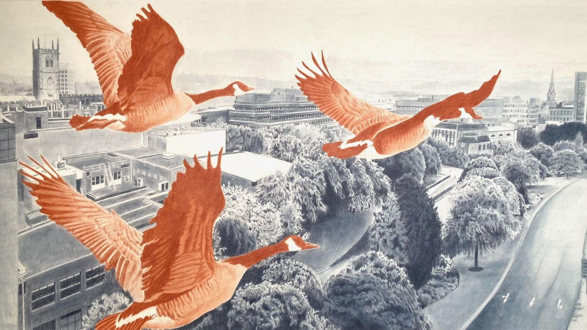 A flock of birds over the skies of the Black Country as part of the Drawing Places exhibition 