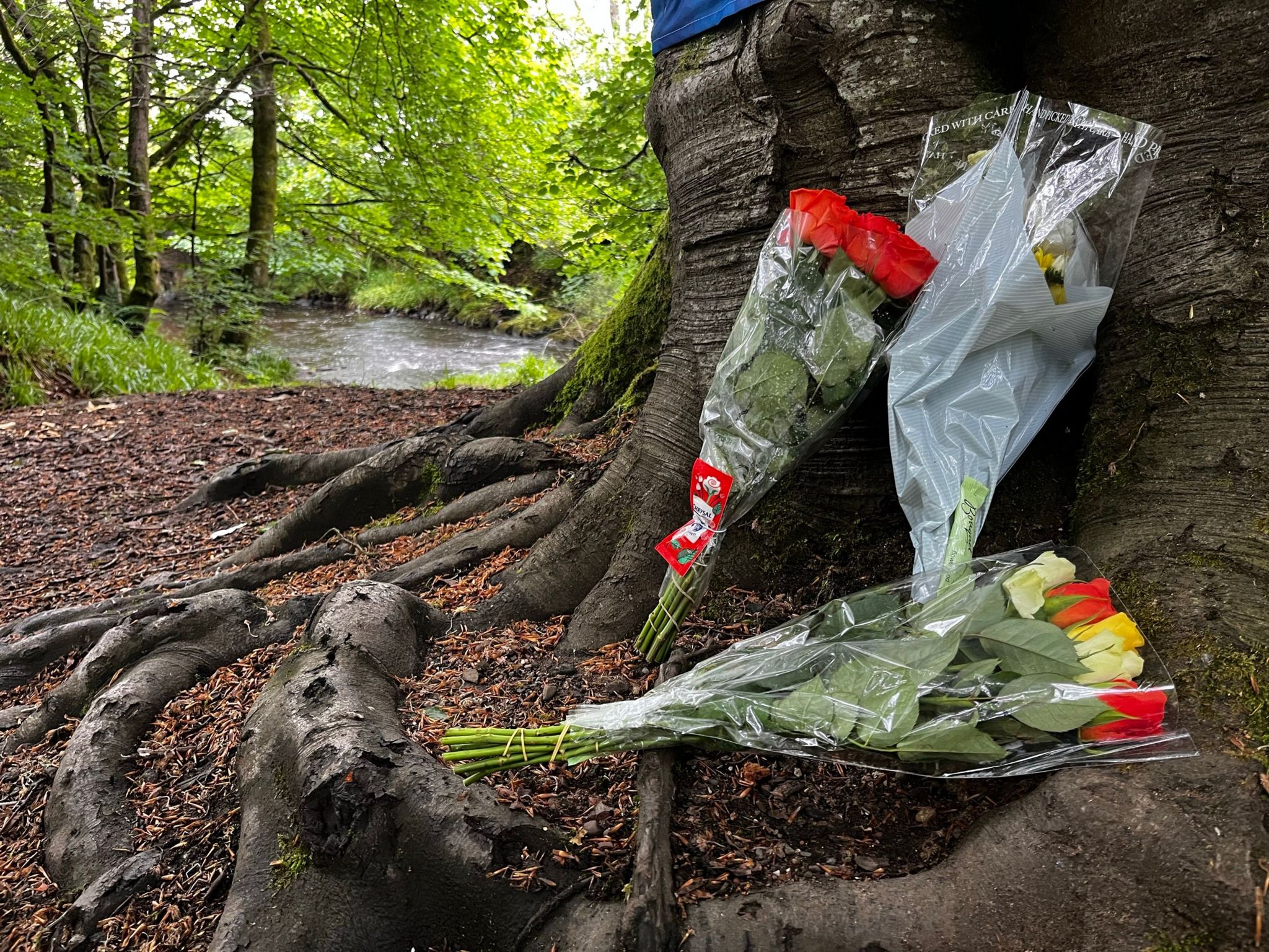 Flowers left next to a tree near where Jordan Moore was found