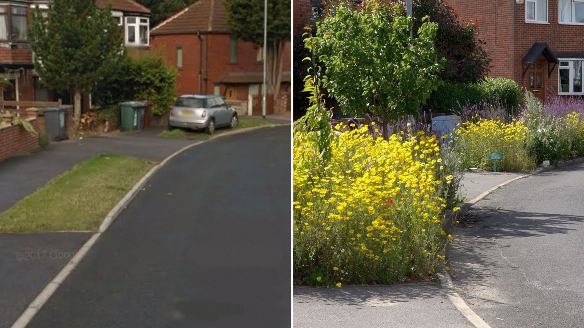 A composite image shows a section of the street with plain grass verges while the image on the right shows the verges packed with blooming flowers supplying a riot of colour