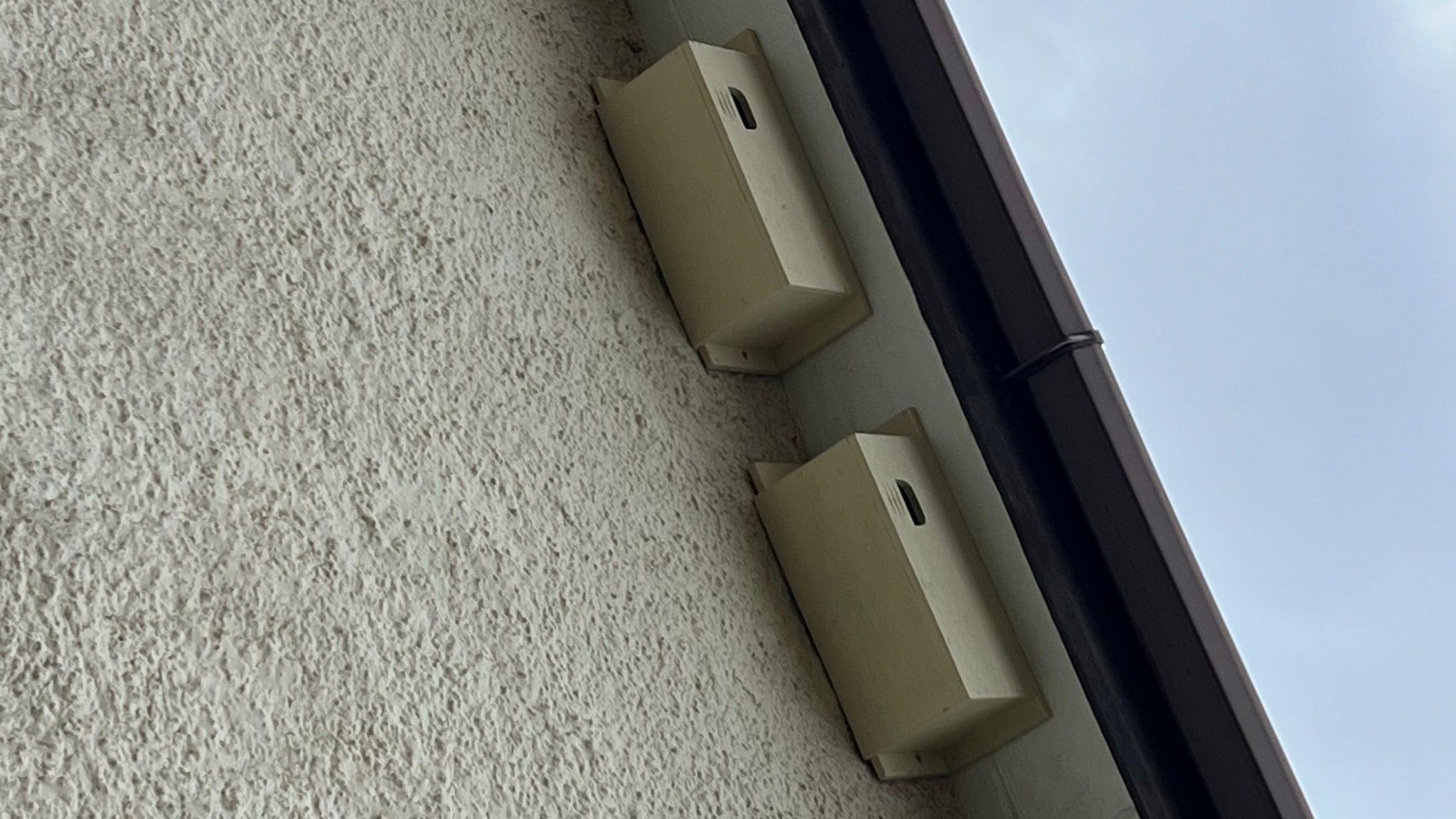 Four swift boxes on a house 