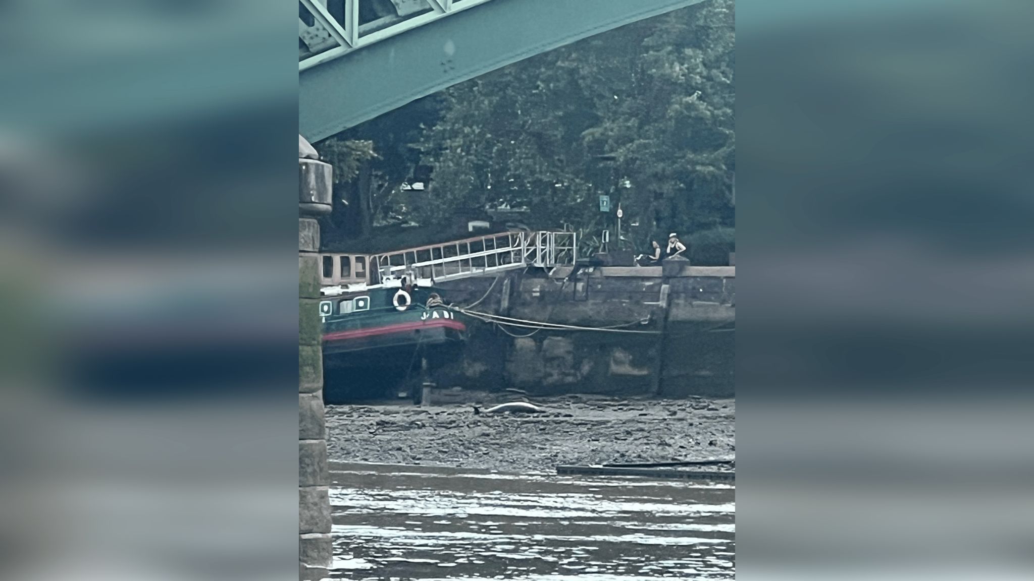 A dead dolphin on the bank of the River Thames near a boat