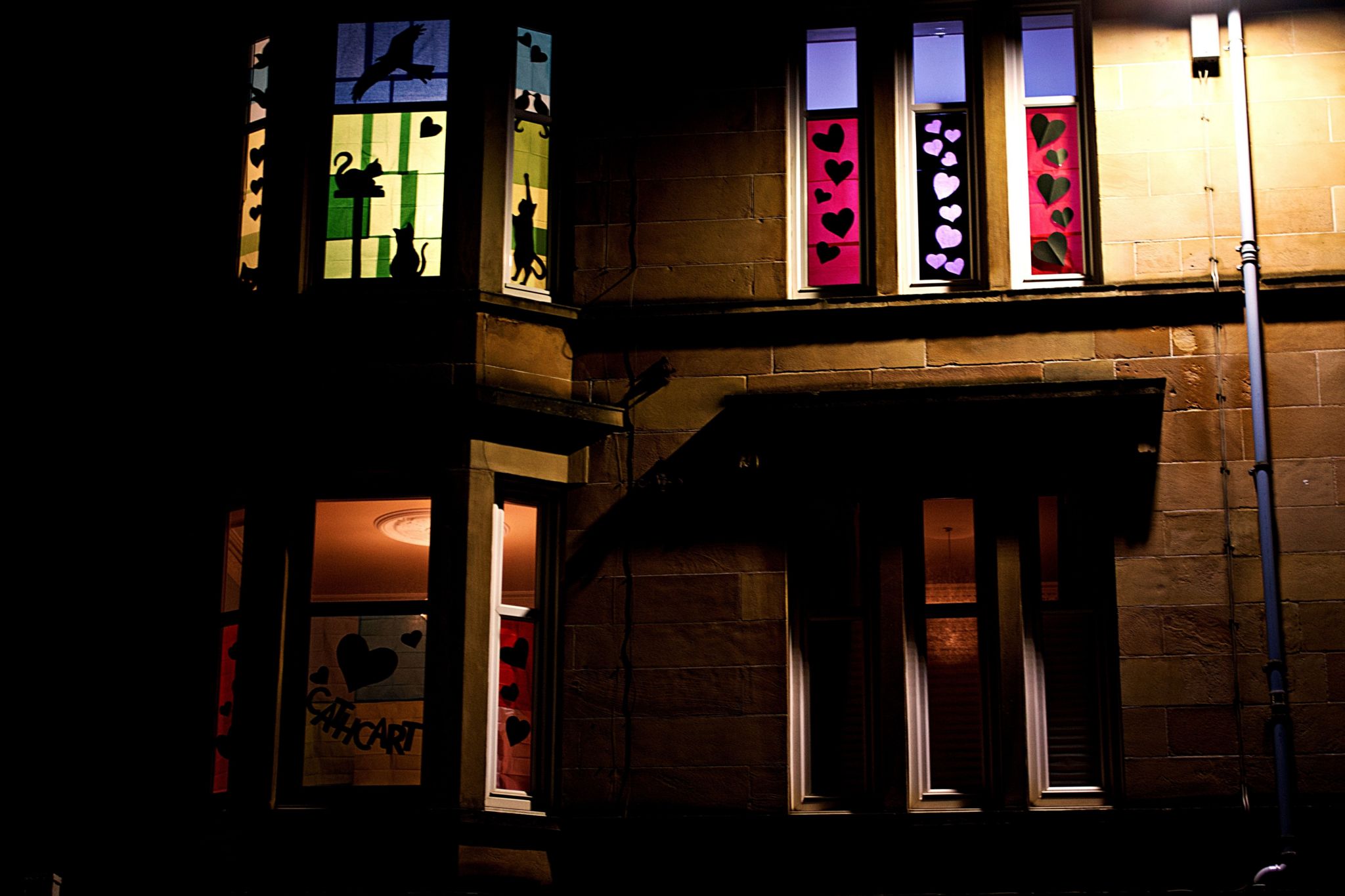 Colourfully lit up windows show black outlines of cats, hearts and letters spelling Cathcart